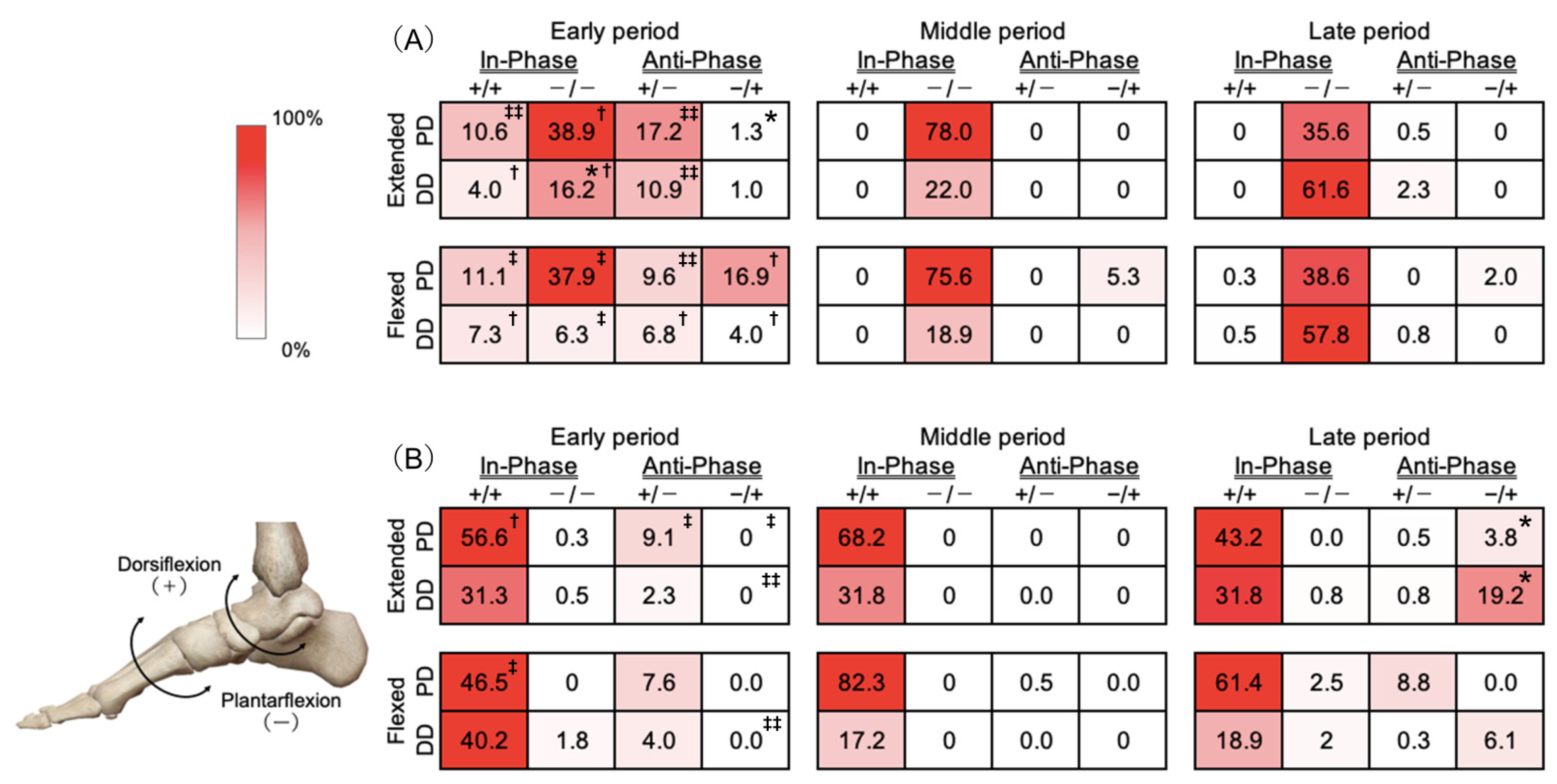 Biomechanics 05 00087 g002 Biomechanics 05 00087 g002