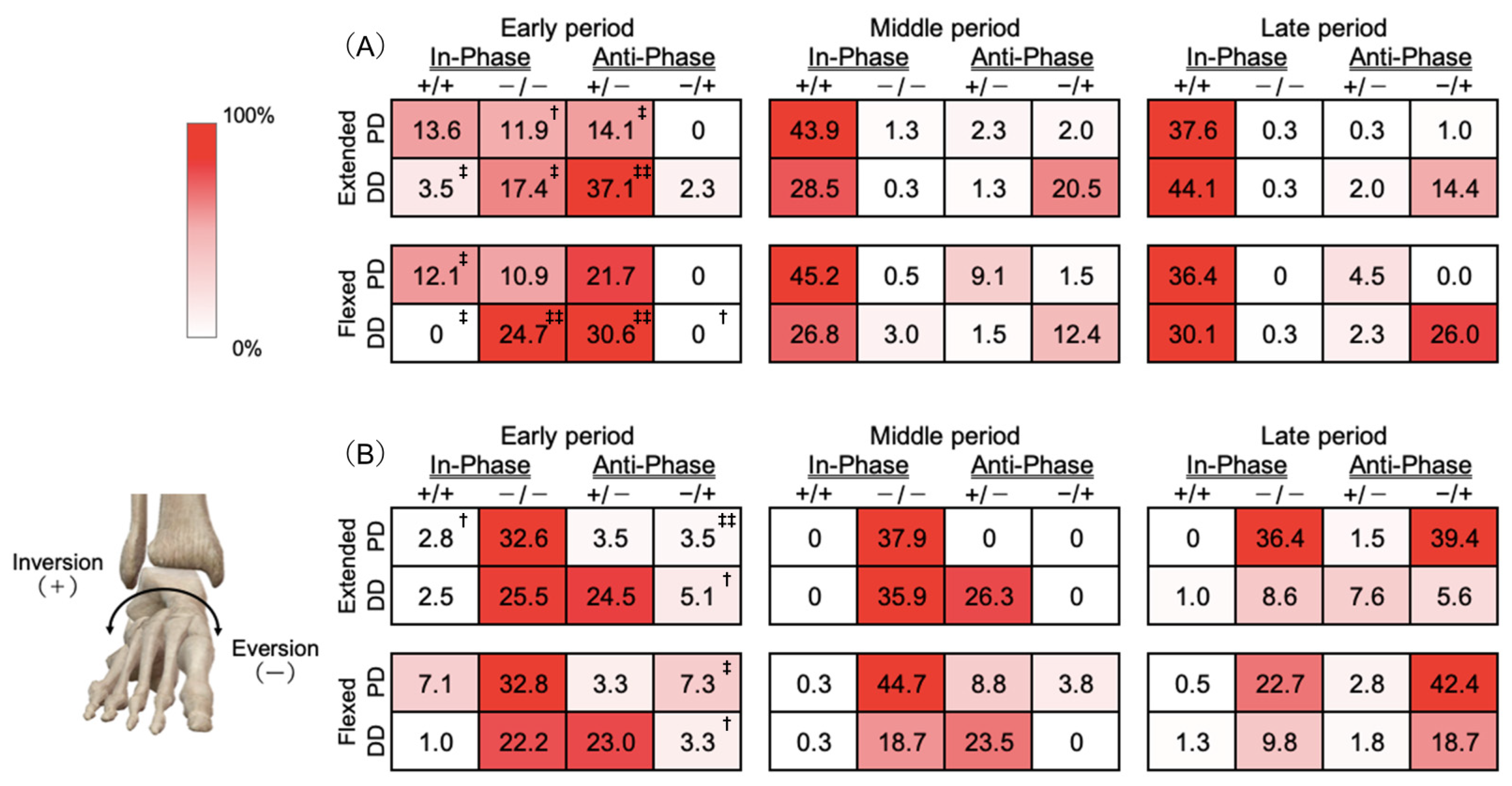 Biomechanics 05 00087 g003 Biomechanics 05 00087 g003