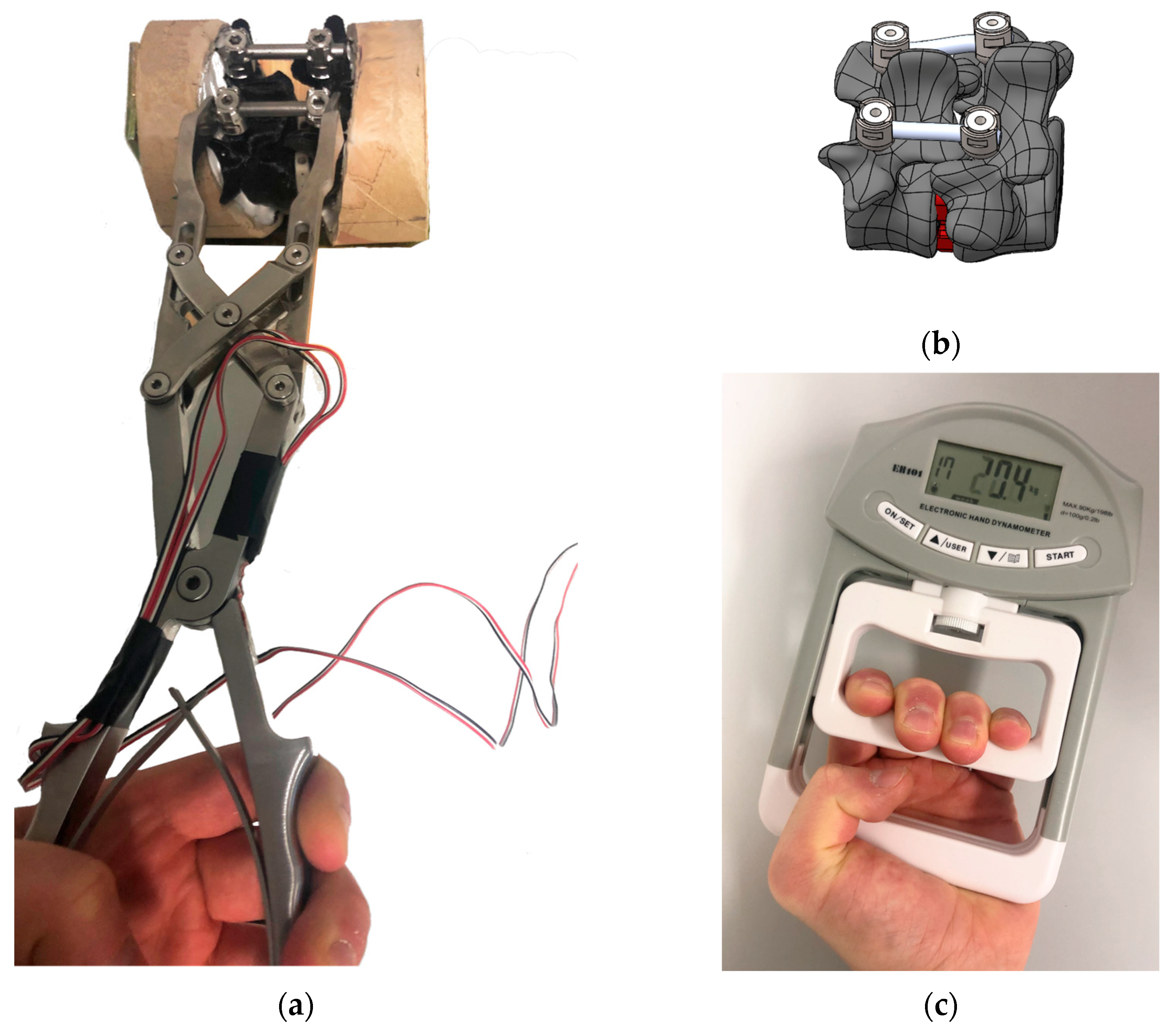 Biomechanics 05 00091 g001