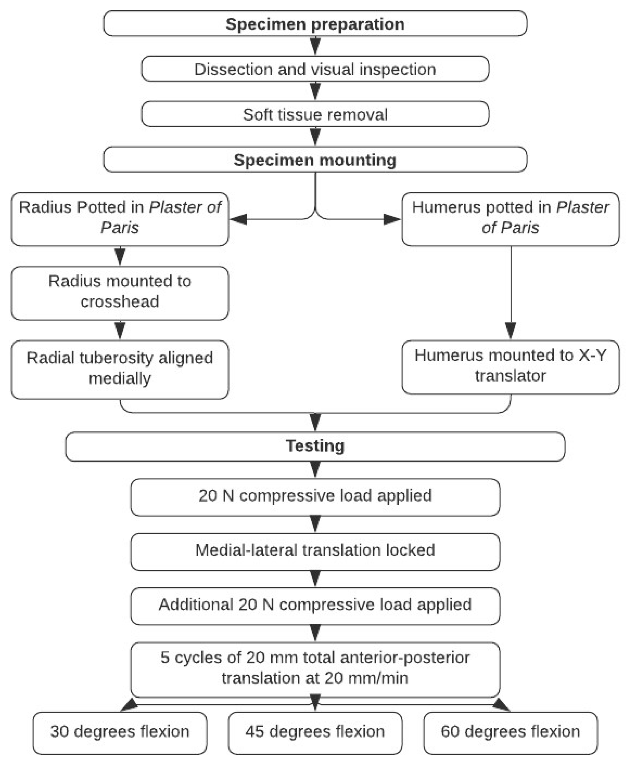 Biomechanics 05 00093 g001