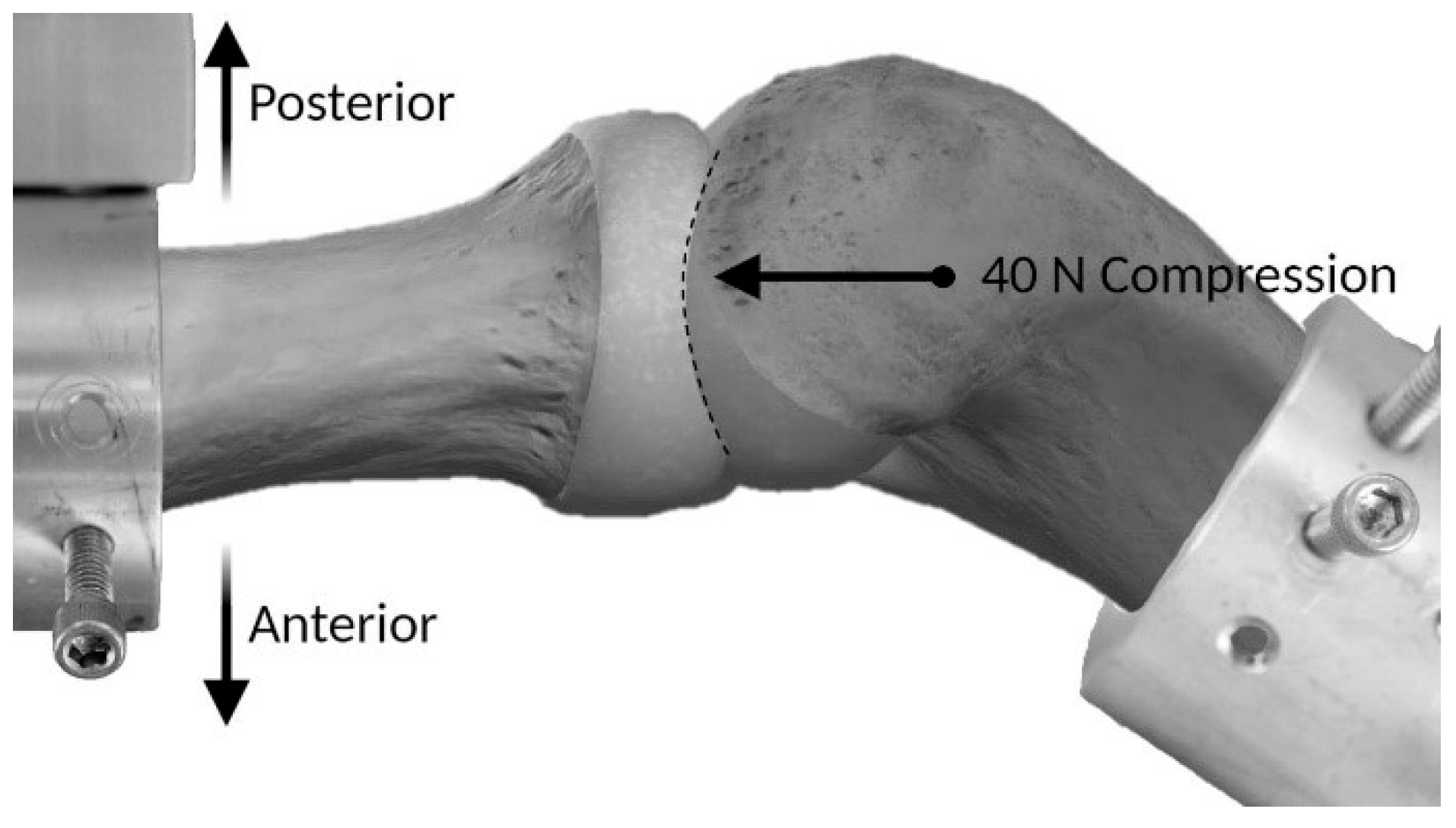 Biomechanics 05 00093 g003