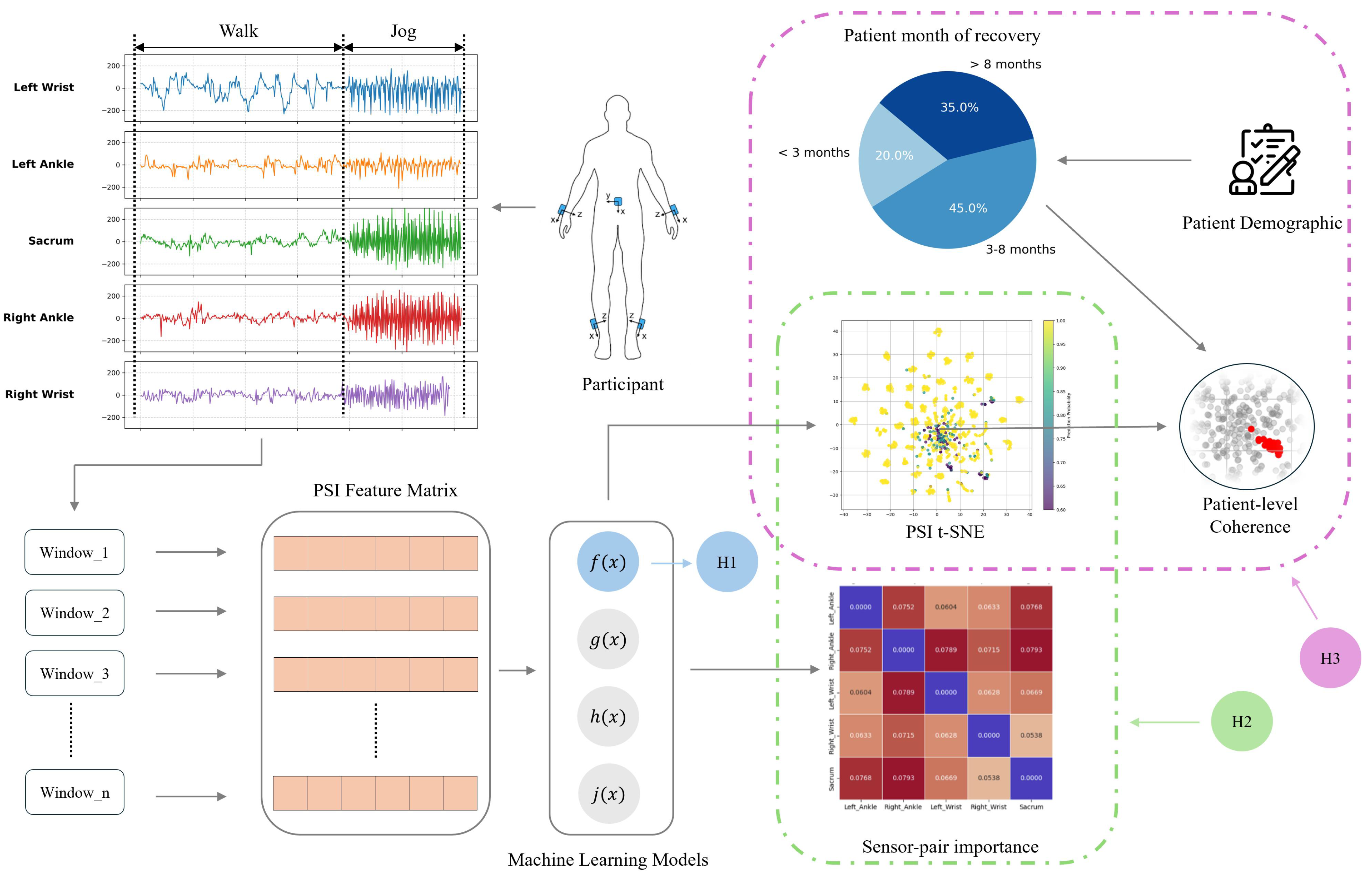 Biomechanics 05 00094 g001