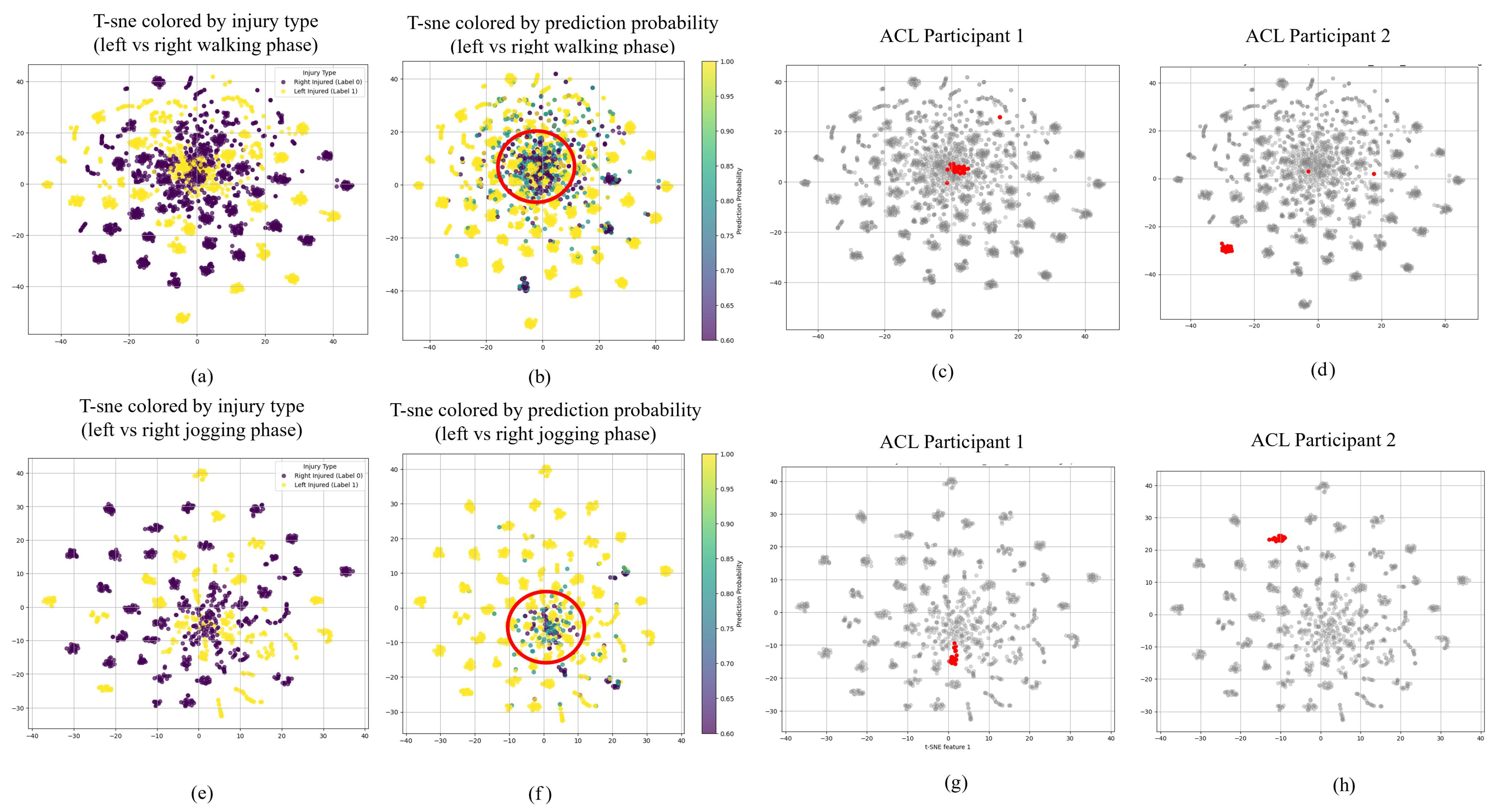 Biomechanics 05 00094 g005