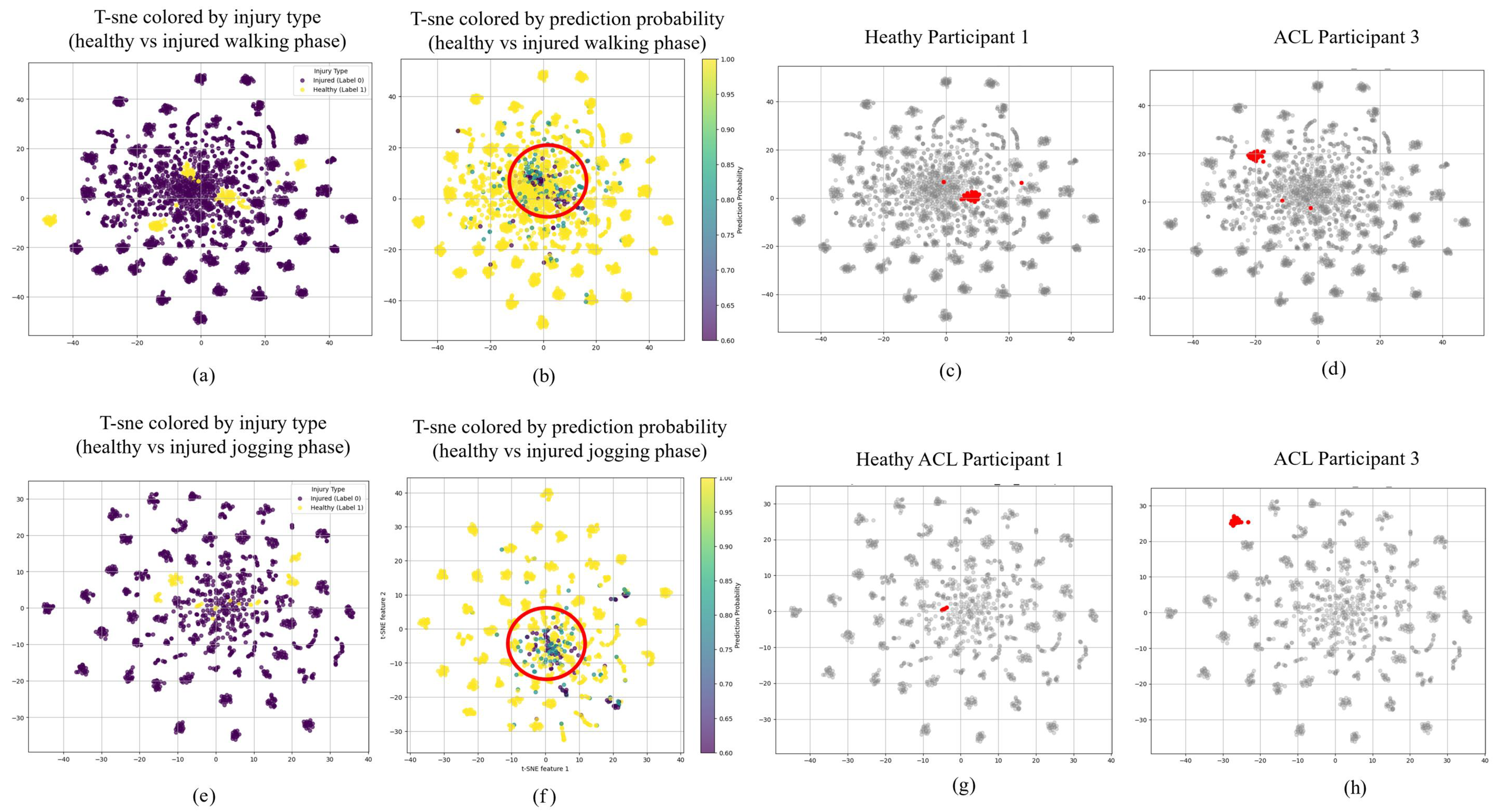 Biomechanics 05 00094 g006