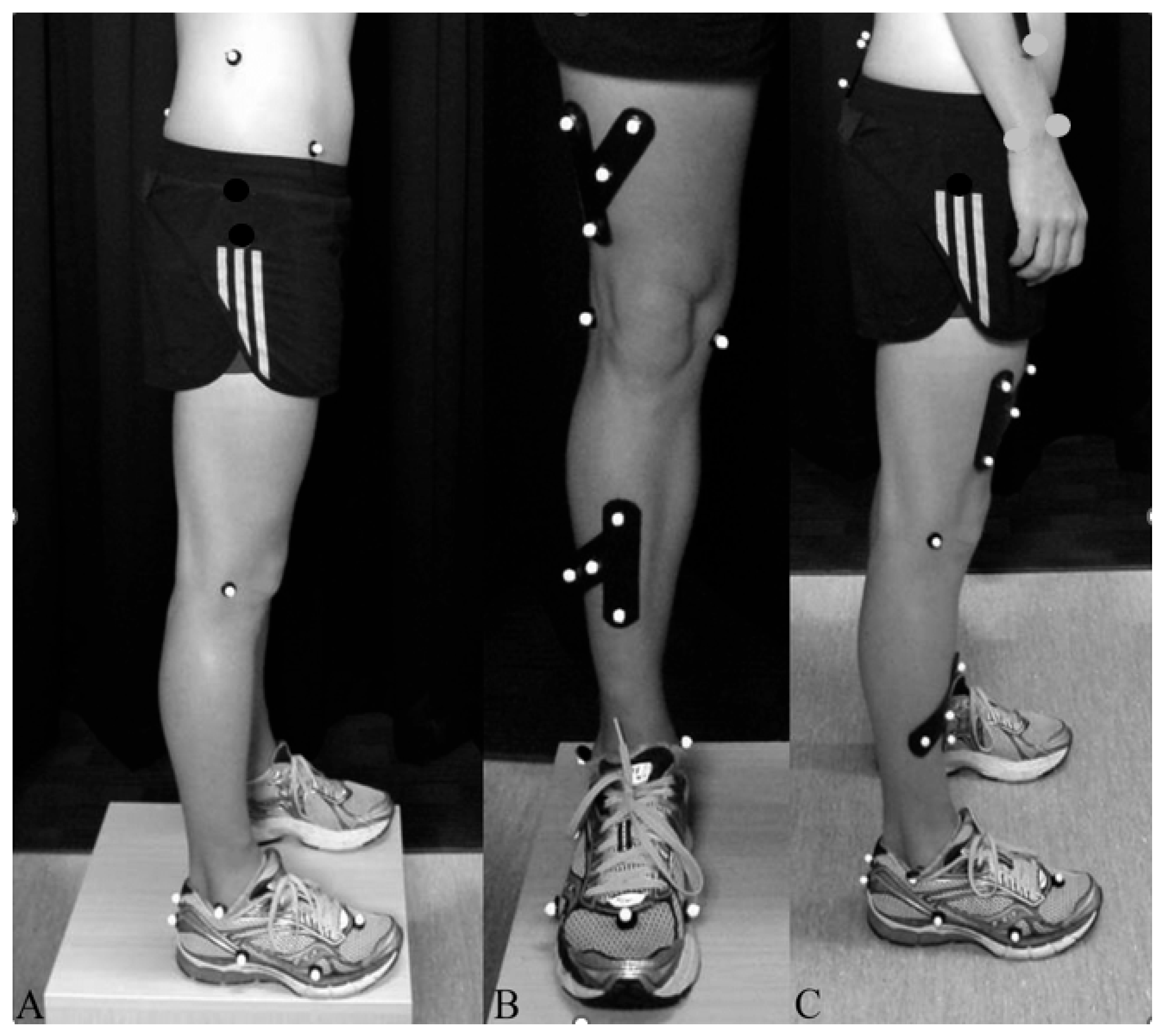 Biomechanics 05 00095 g001