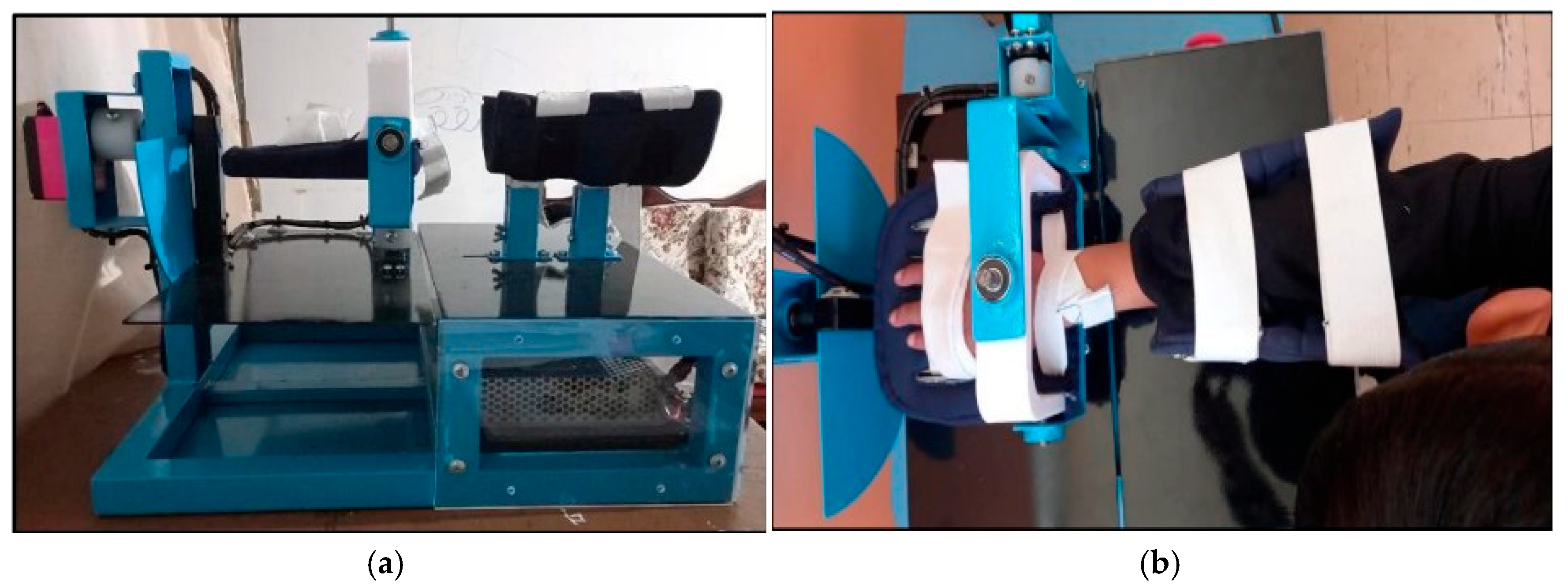 Biomechanics 05 00096 g001