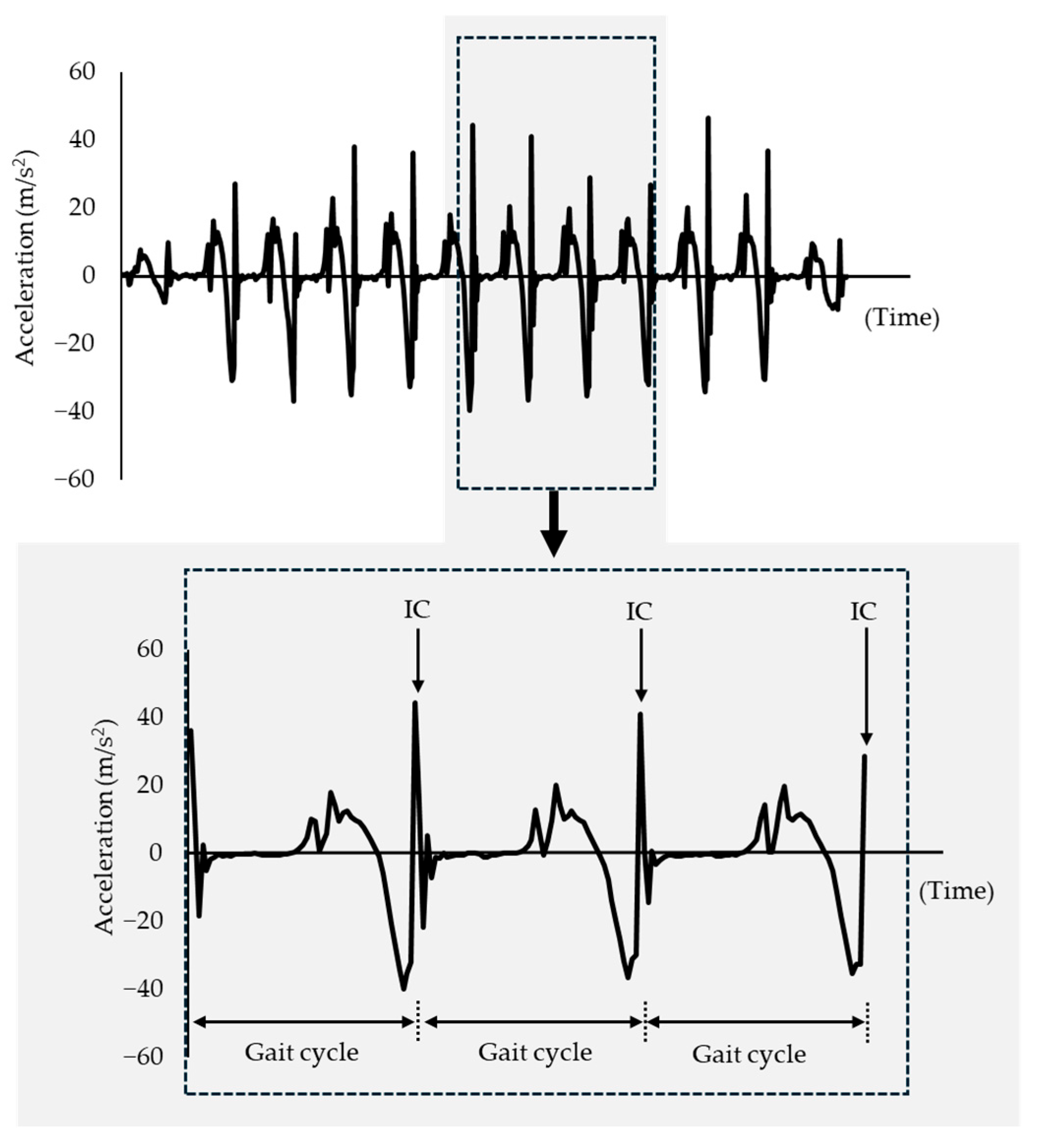 Biomechanics 05 00098 g005