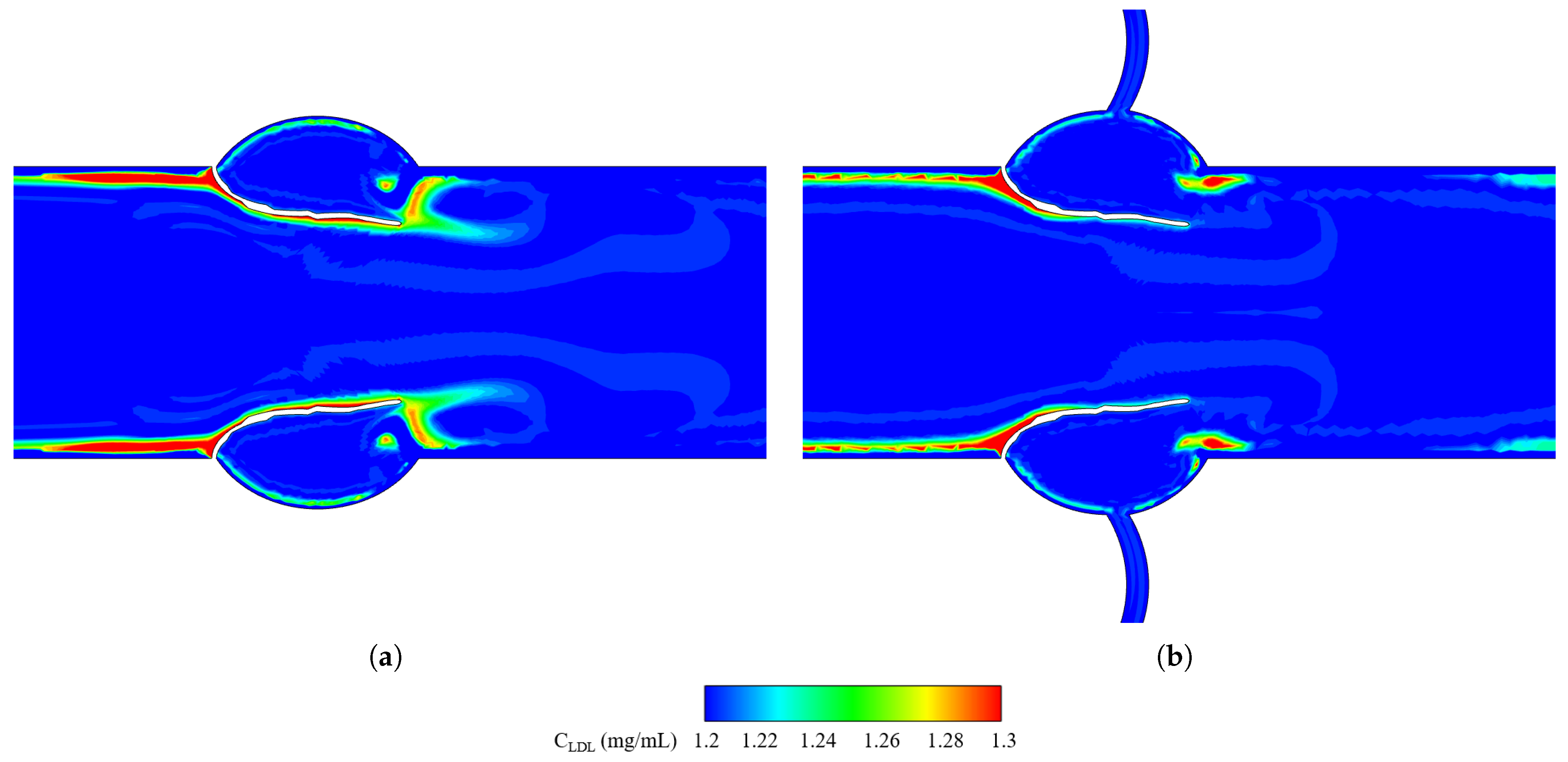 Biomechanics 05 00099 g008