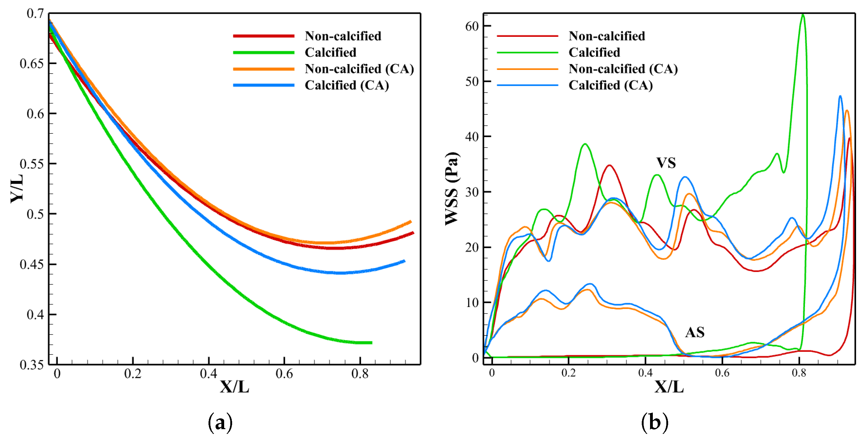 Biomechanics 05 00099 g015