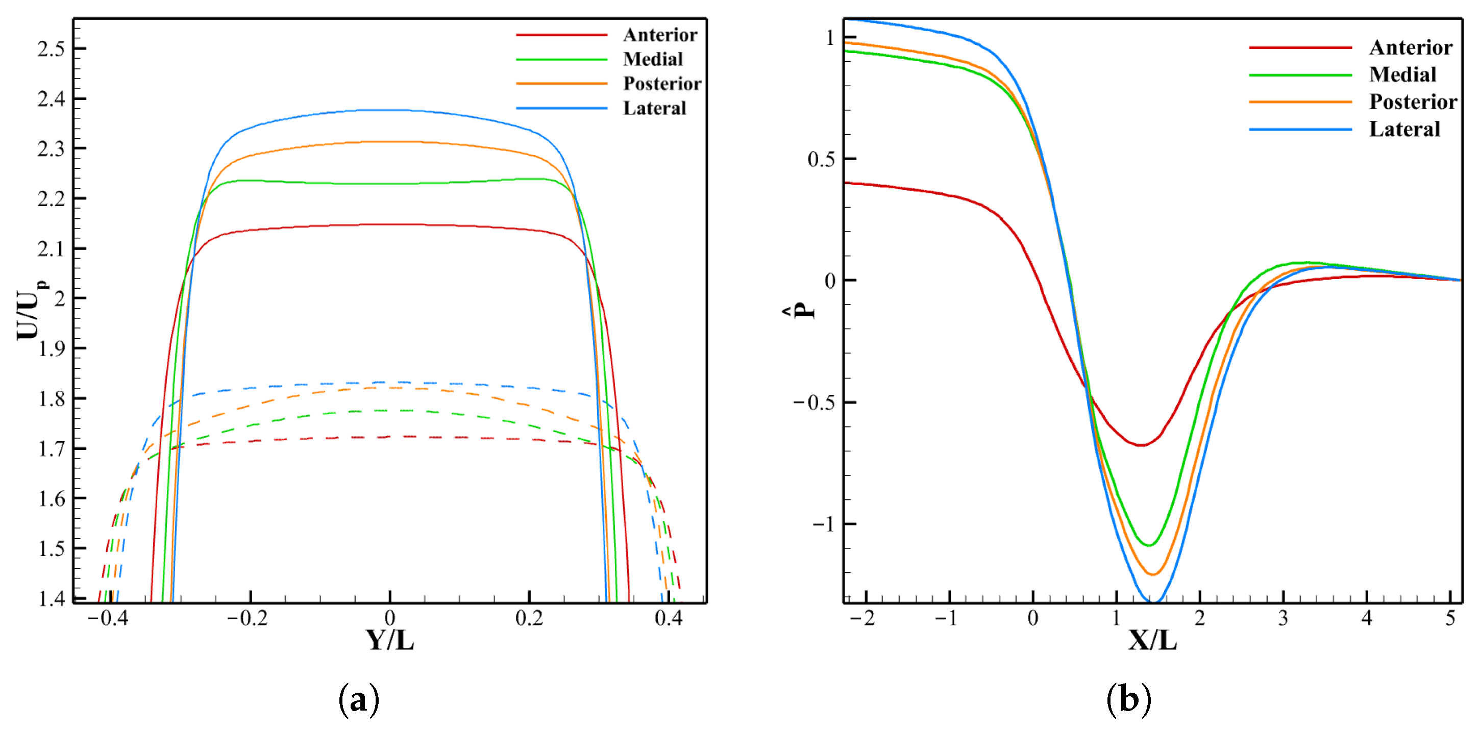 Biomechanics 05 00099 g017