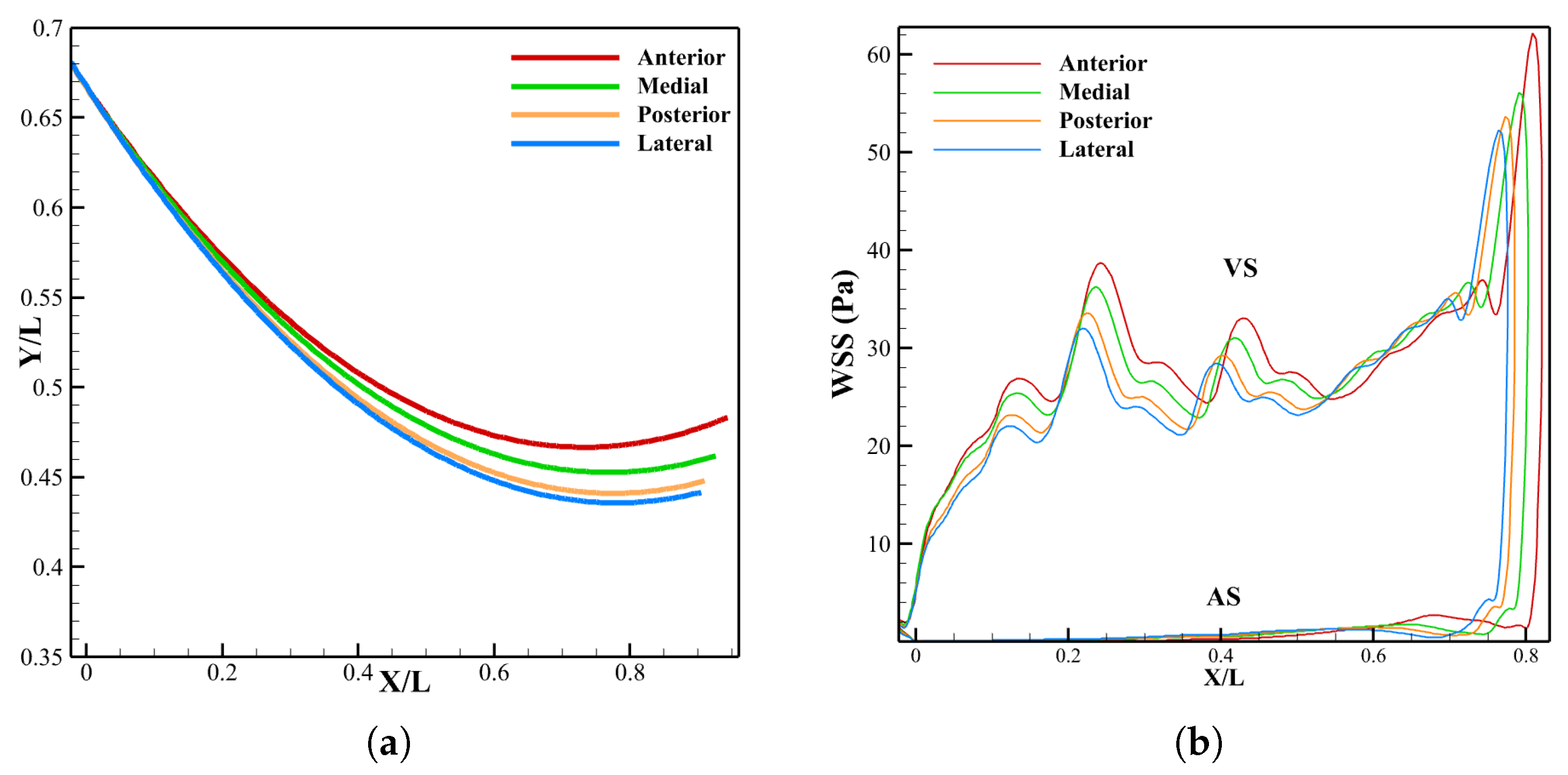 Biomechanics 05 00099 g018