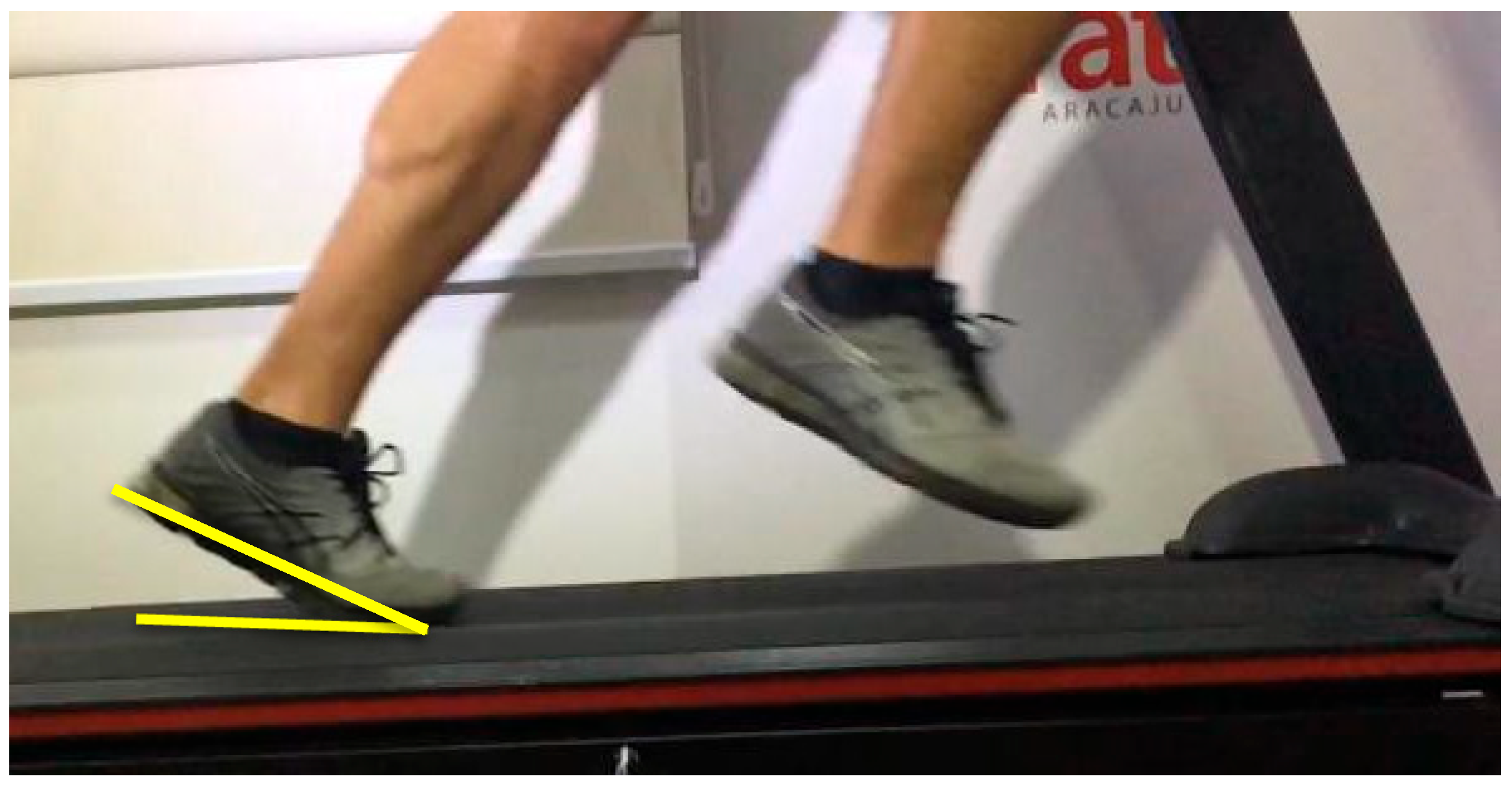 Biomechanics 05 00106 g001 Biomechanics 05 00106 g001