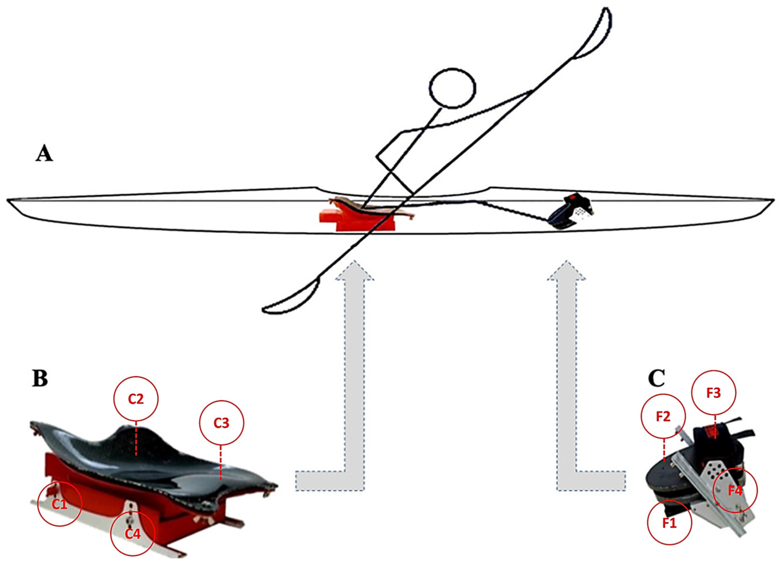 Biomechanics 06 00002 g001