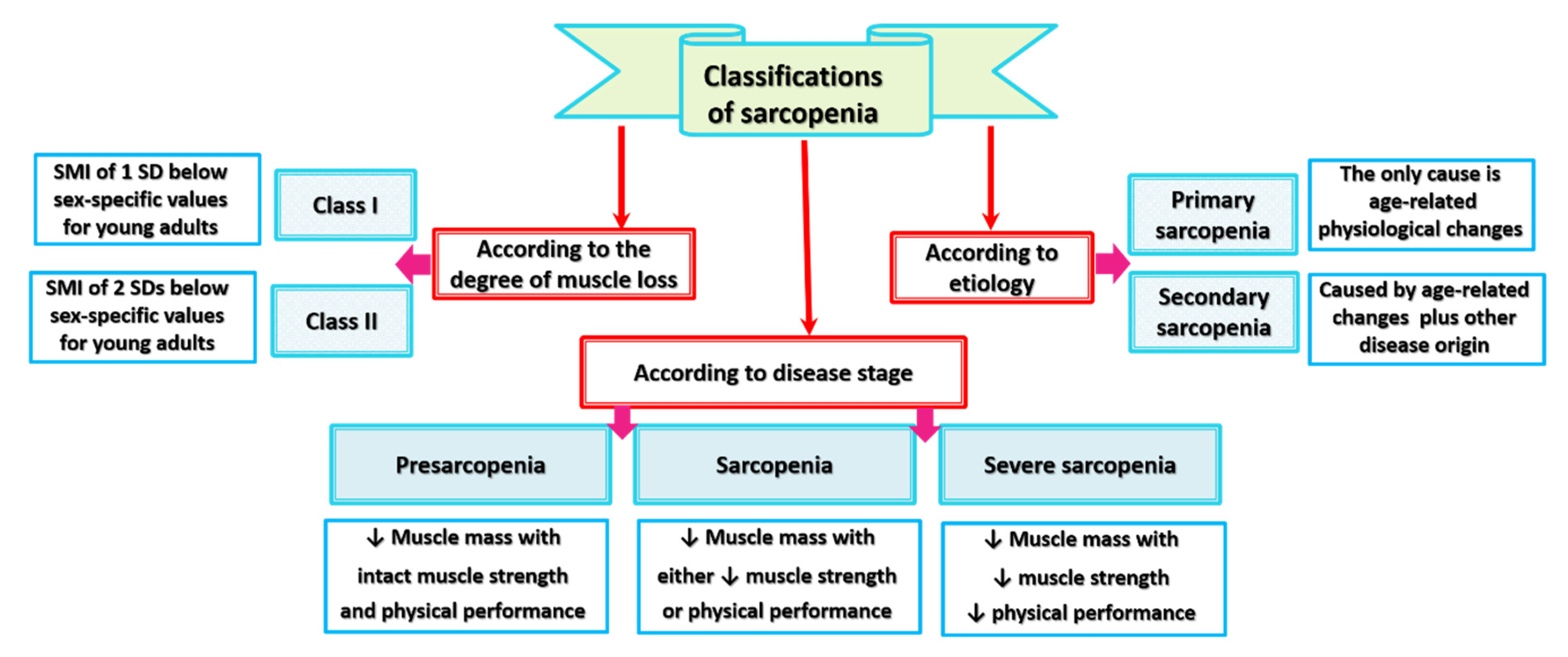 Biomed 01 00002 g001