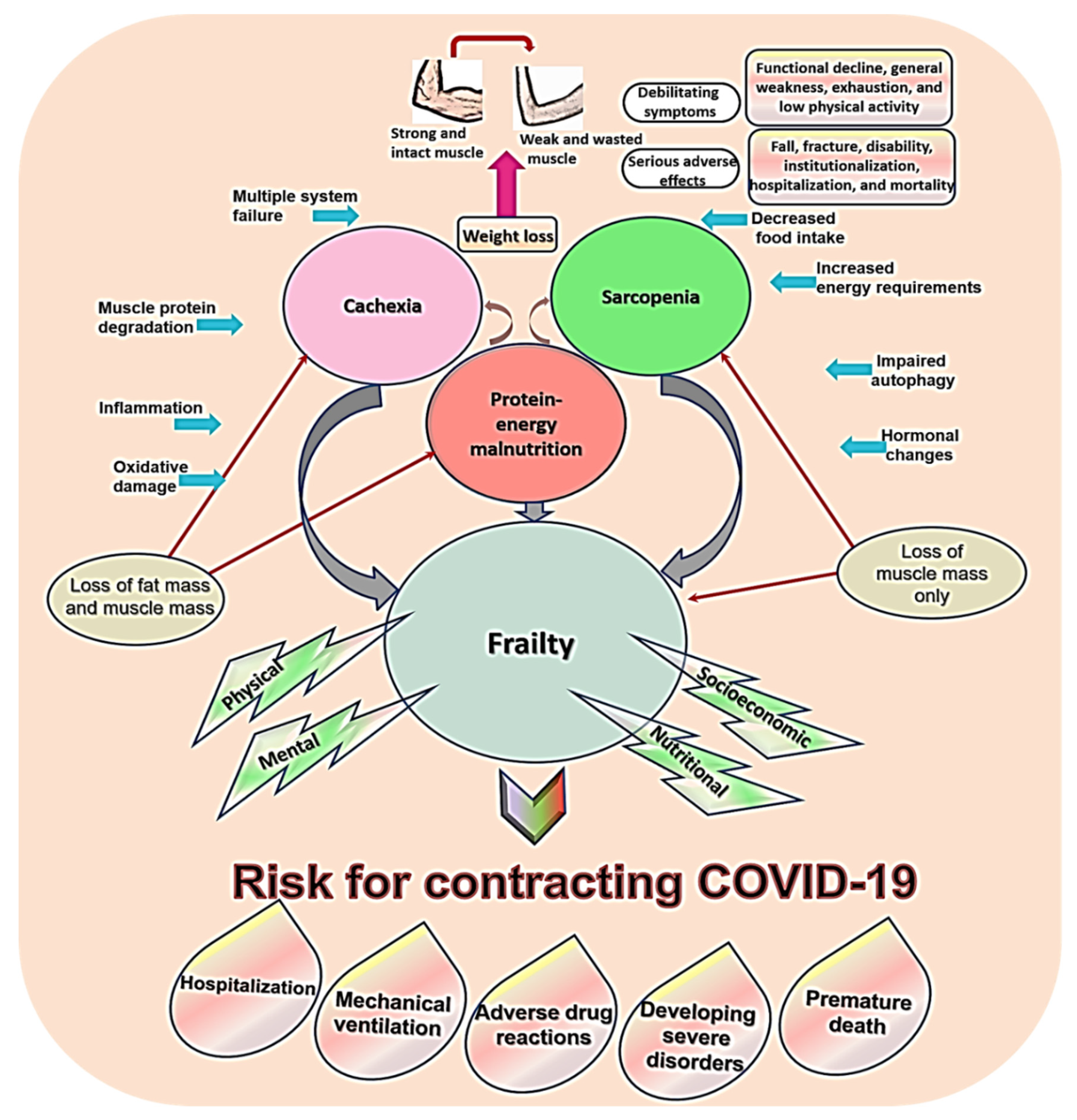 Biomed 01 00002 g002