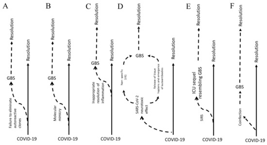 Biomed Free Full Text Guillain Barre Syndrome In Covid 19 The Potential Role Of Ncam 1 And Immunotherapy Html Biomed Free Full Text Guillain Barre Syndrome In Covid 19 The Potential Role Of Ncam 1 And Immunotherapy Html