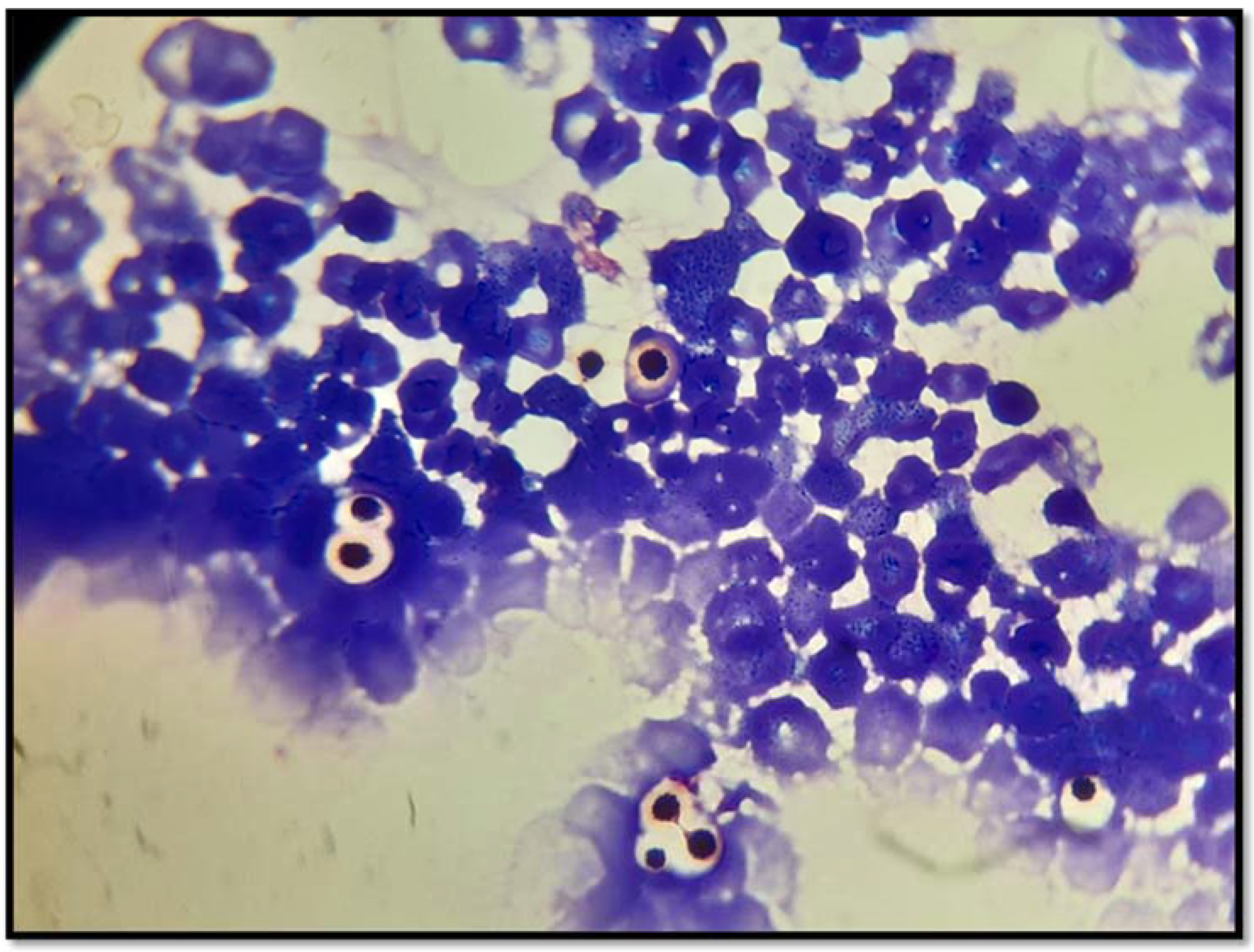 Biomed 02 00014 g001