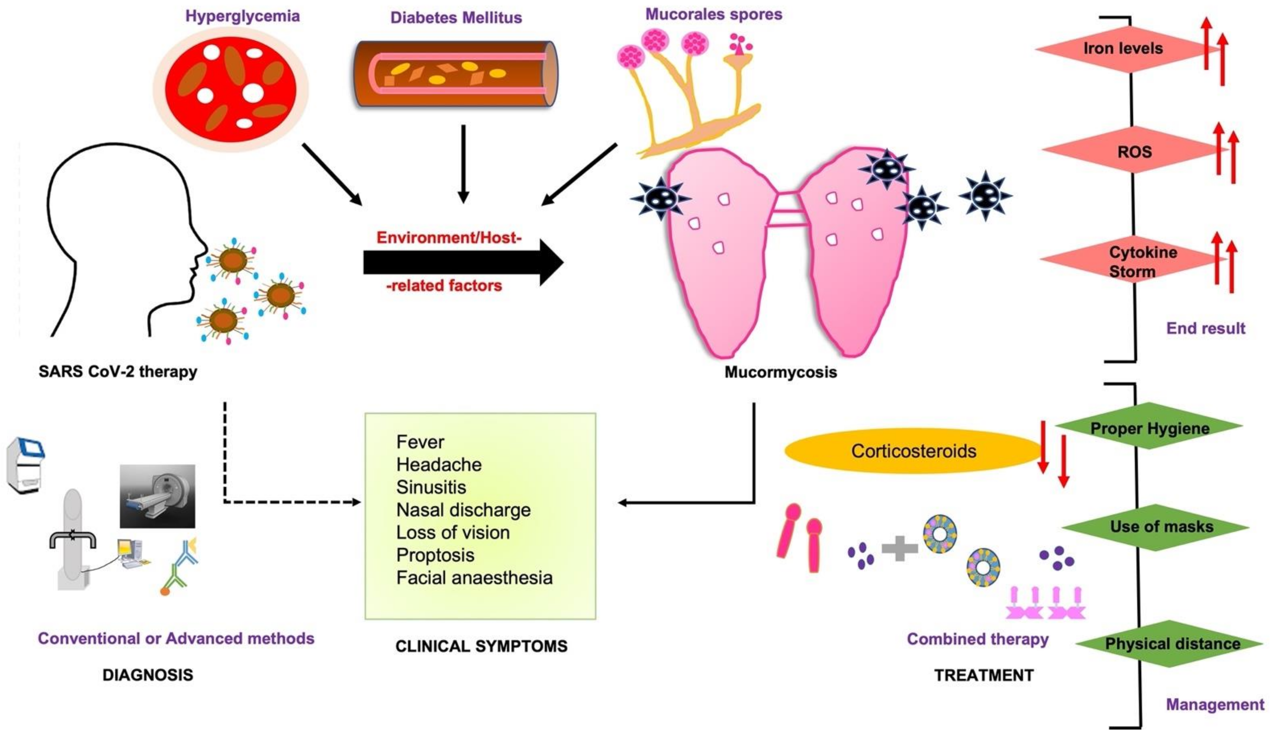 Biomed 02 00017 g001 550