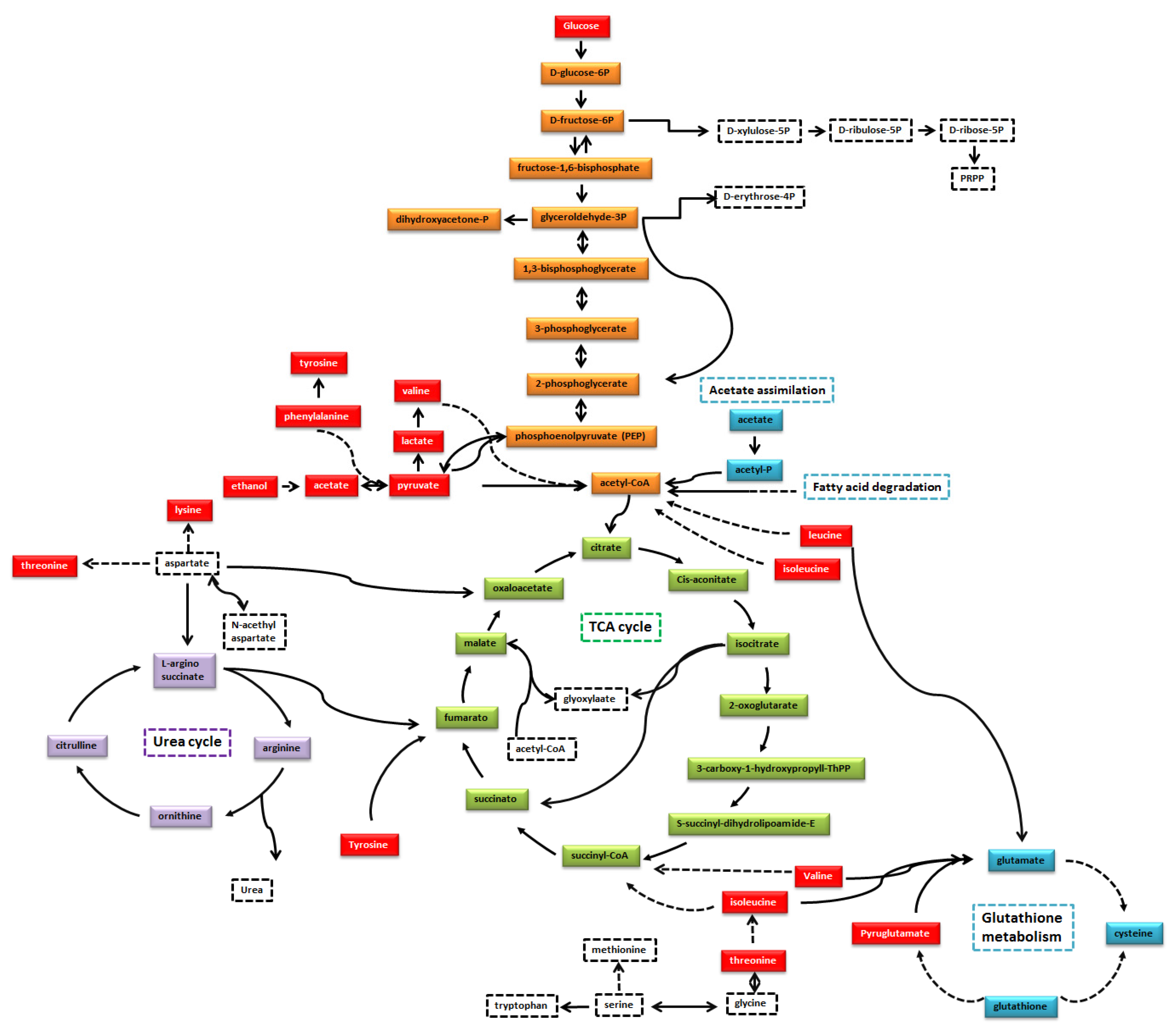 Biomed 02 00020 g007