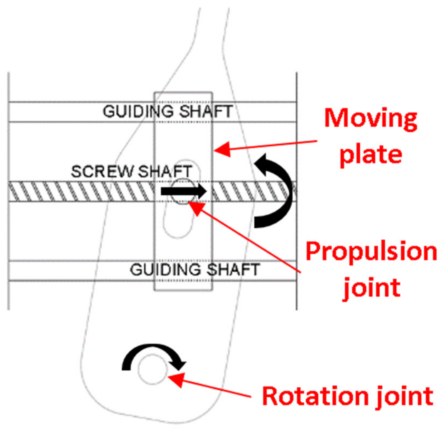 Biomed 03 00003 g008