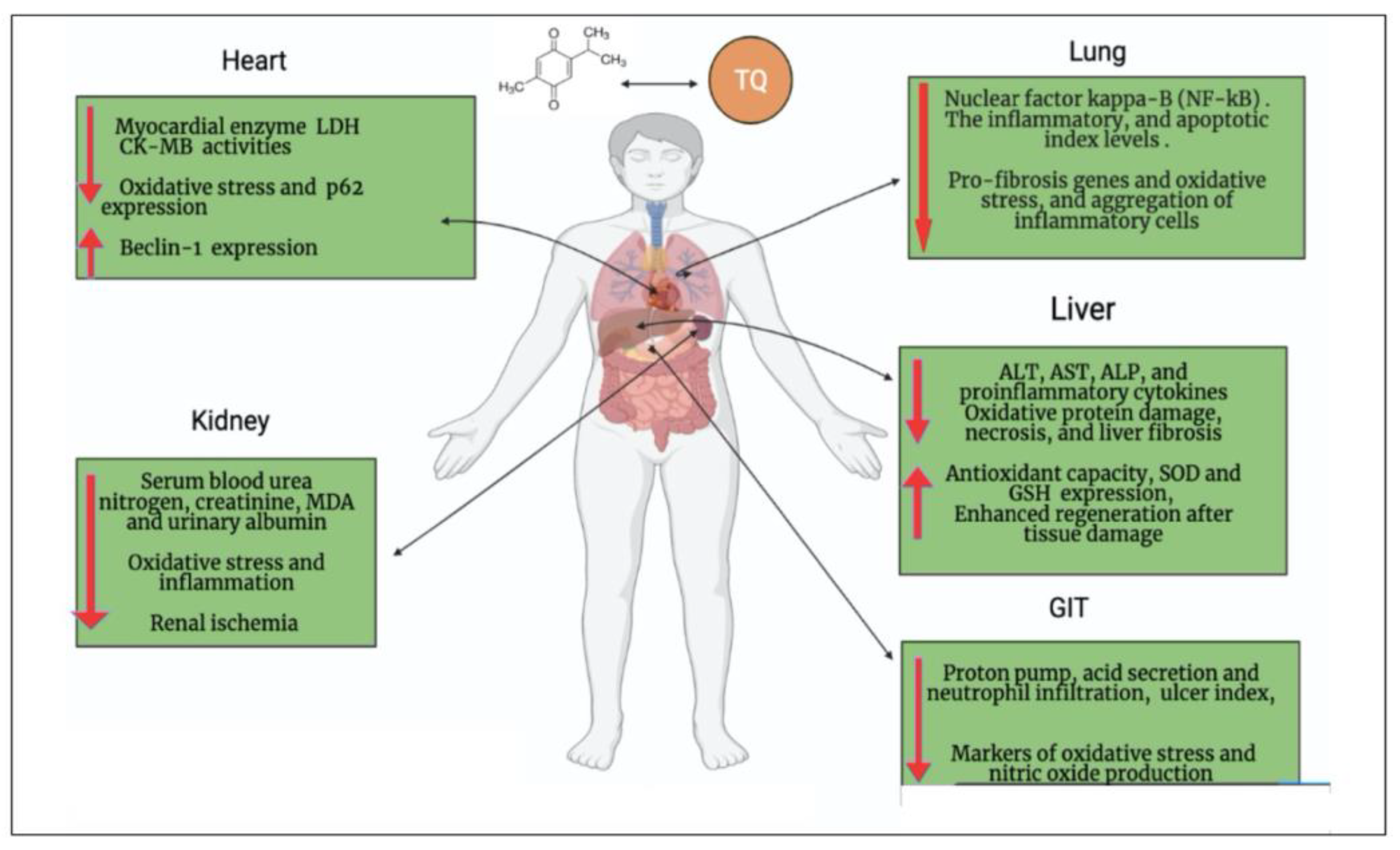 Biomed 03 00005 g003 Biomed 03 00005 g003