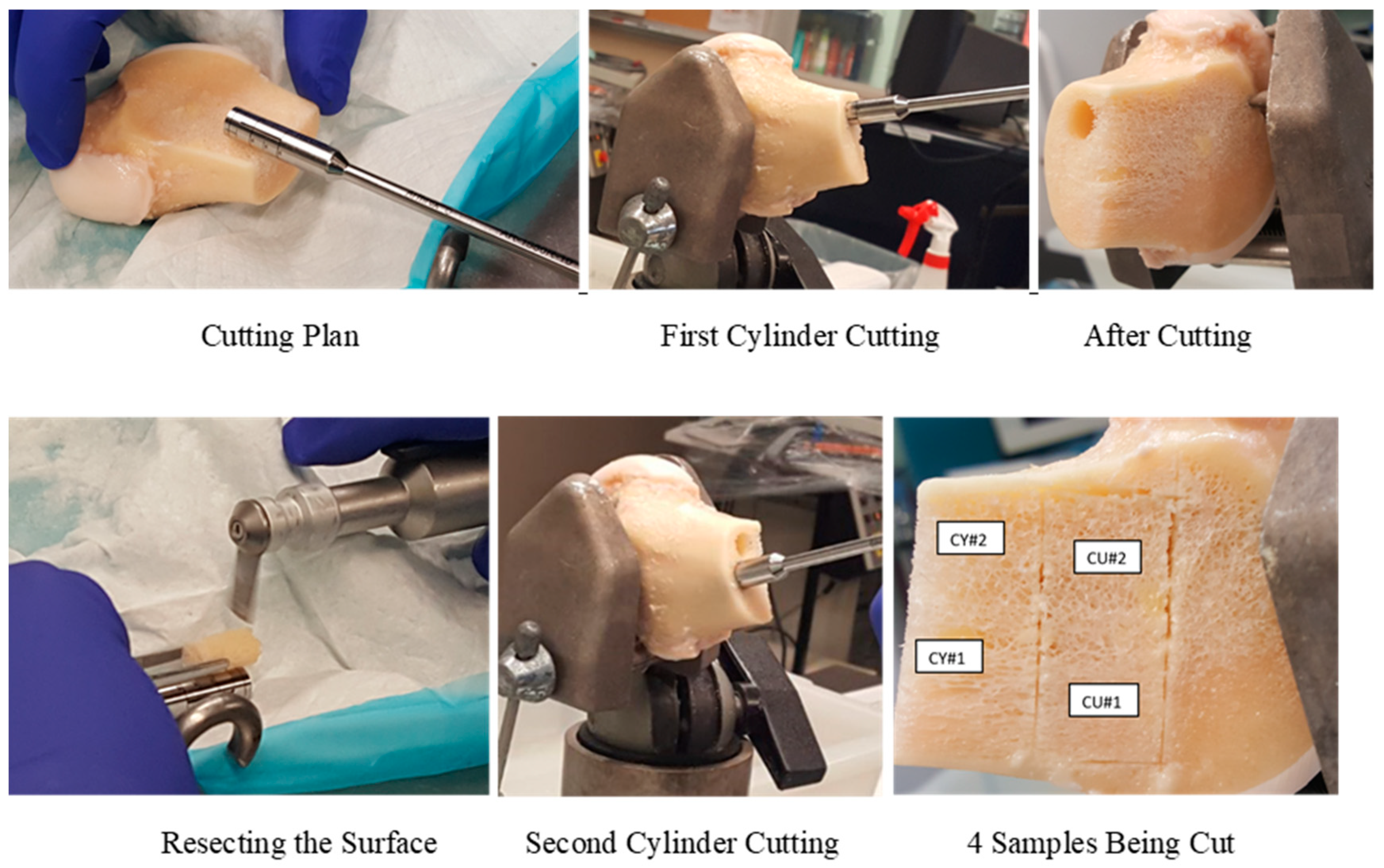 Biomed 03 00007 g001 Biomed 03 00007 g001