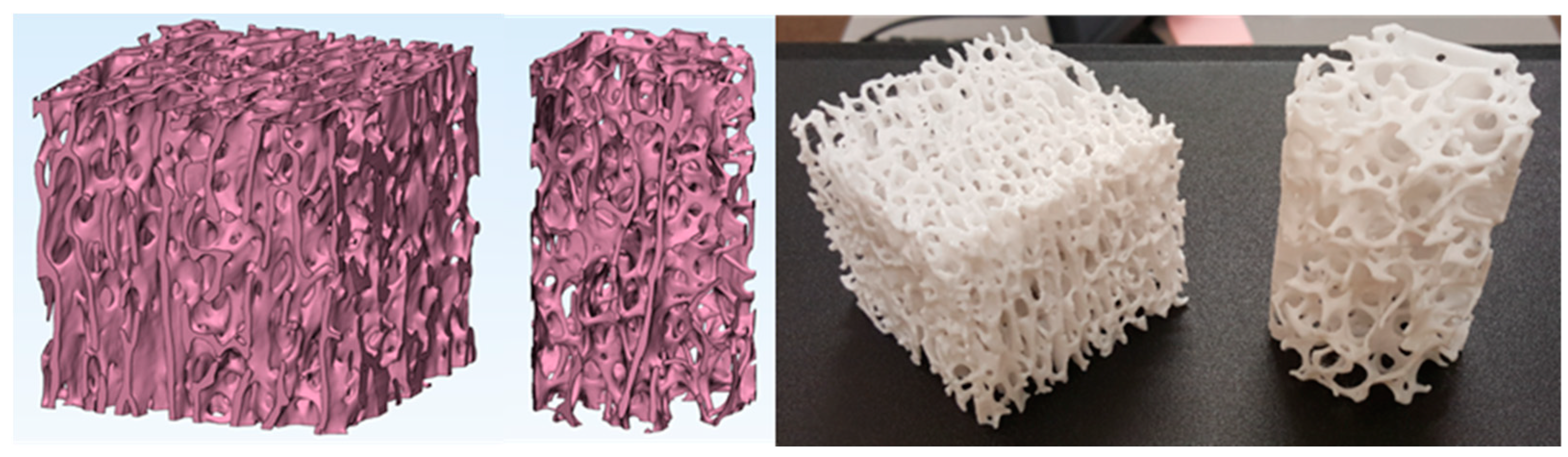 Biomed 03 00007 g006 Biomed 03 00007 g006