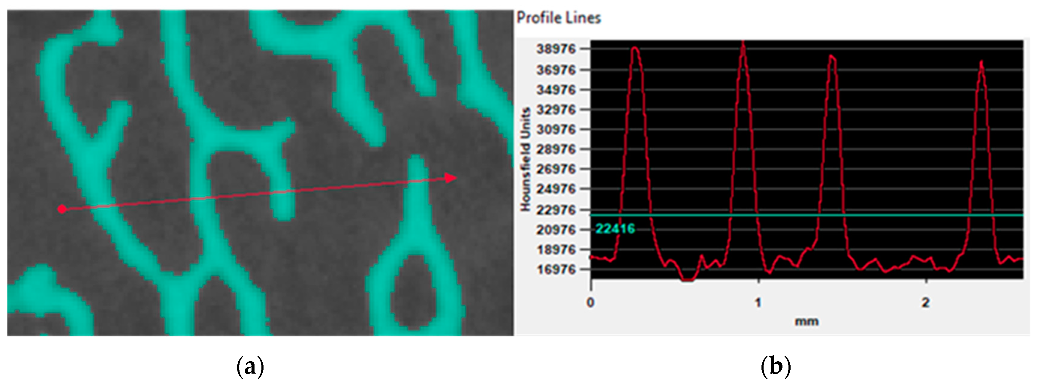 Biomed 03 00007 g007 Biomed 03 00007 g007