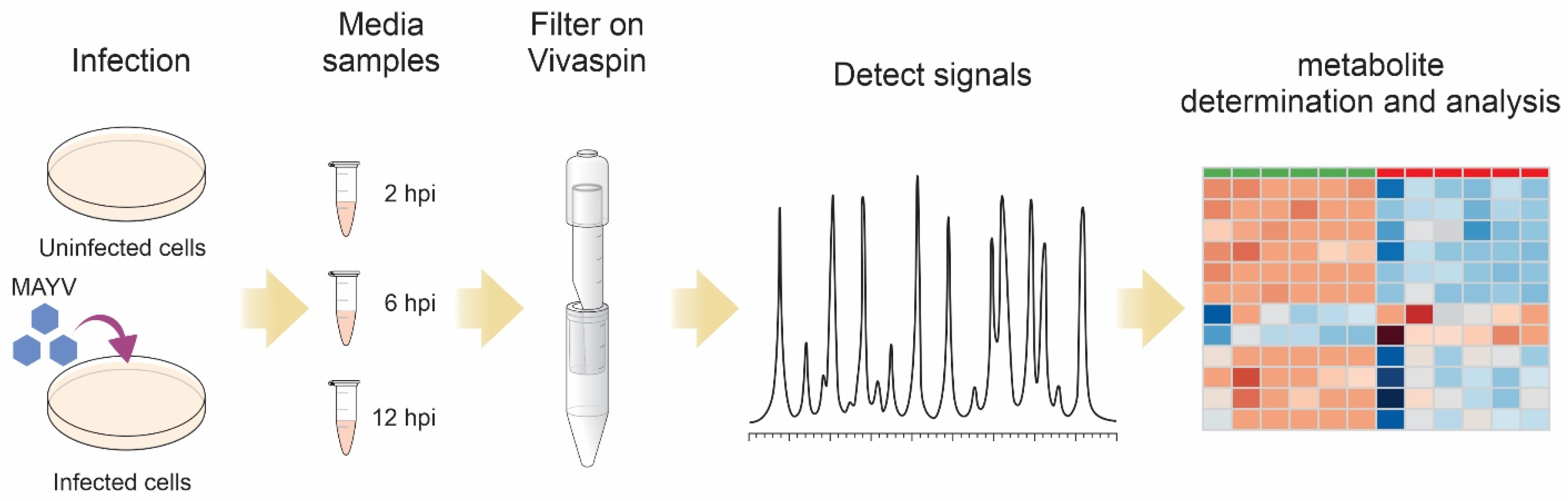 Biomed 03 00013 g001 Biomed 03 00013 g001