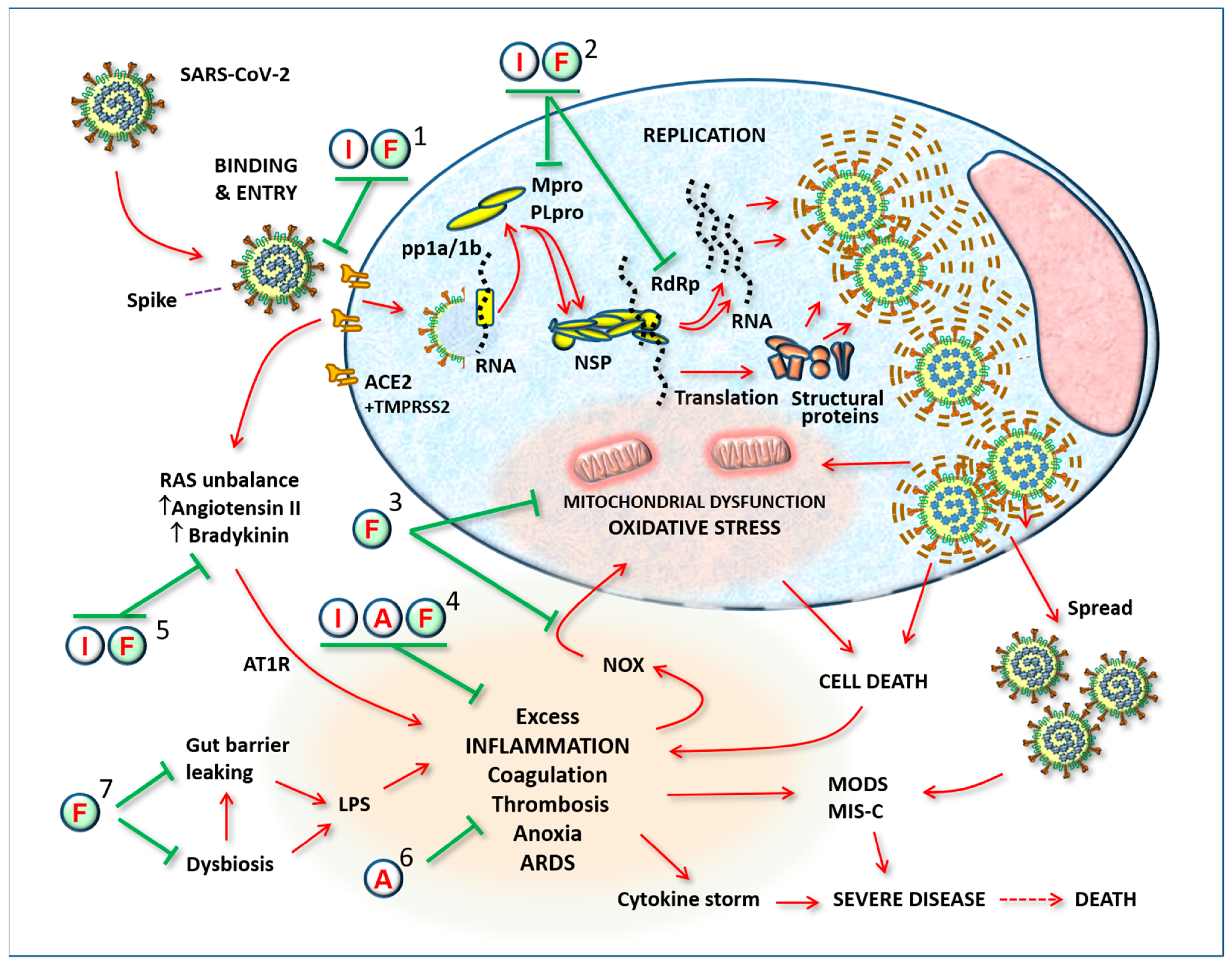 Biomed 03 00015 g001 Biomed 03 00015 g001