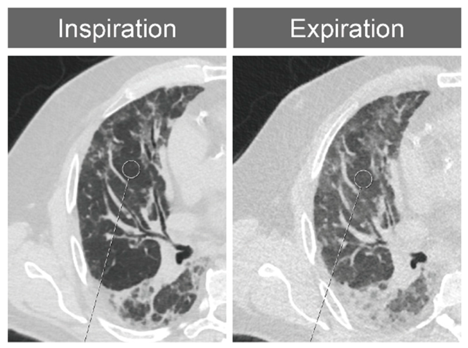 Biomed 03 00038 g001