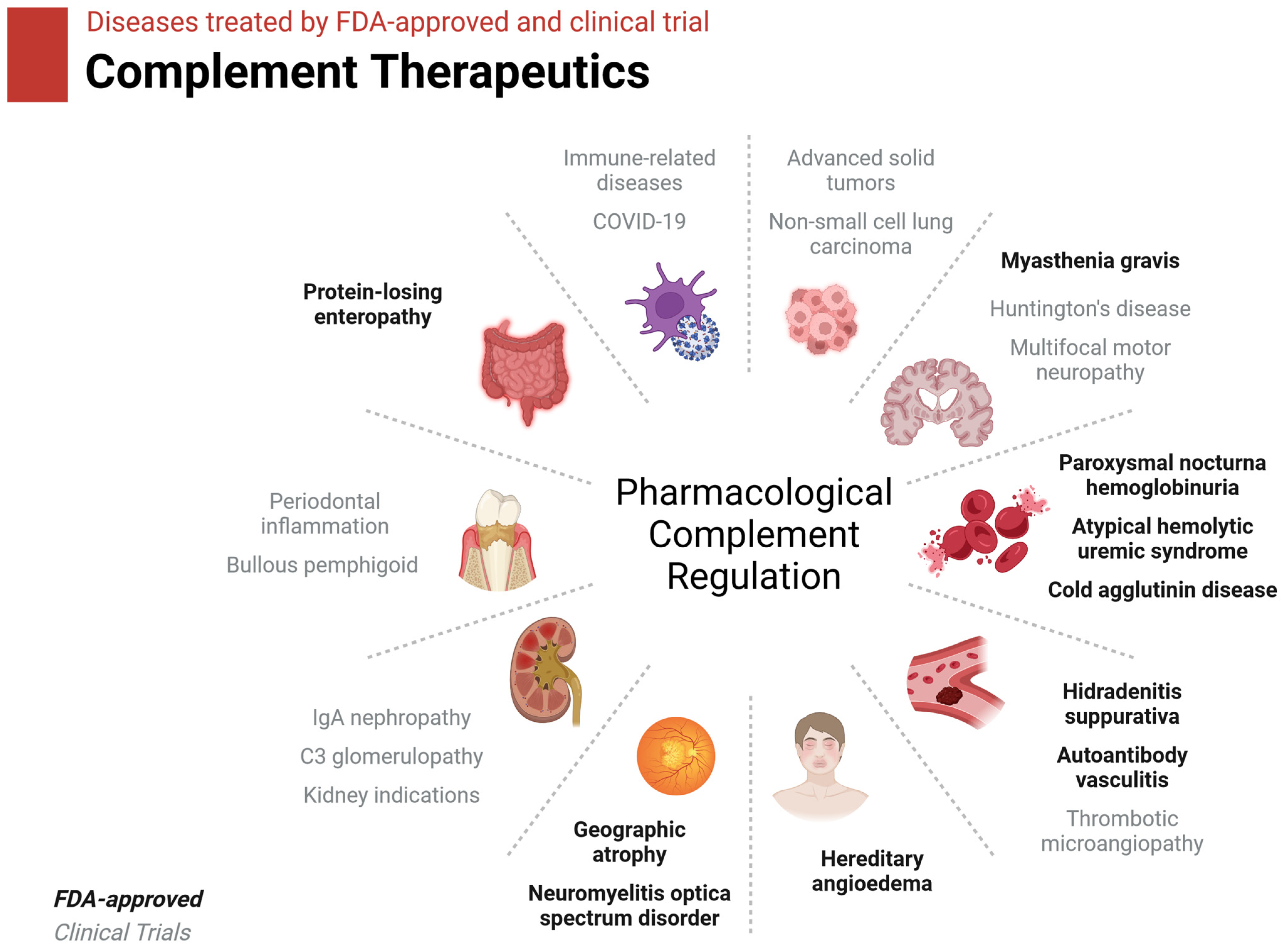 Biomed 04 00002 g004 Biomed 04 00002 g004