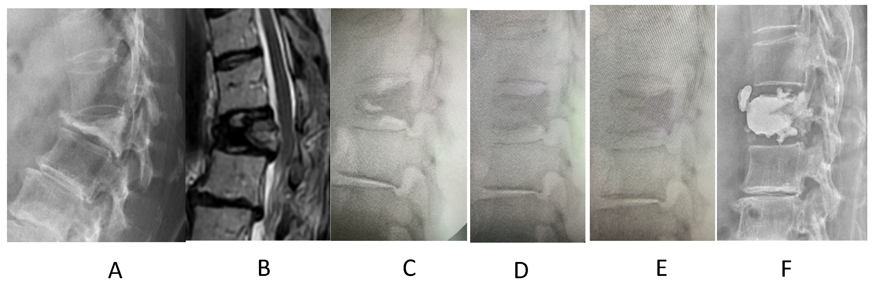 Biomed 04 00011 g003