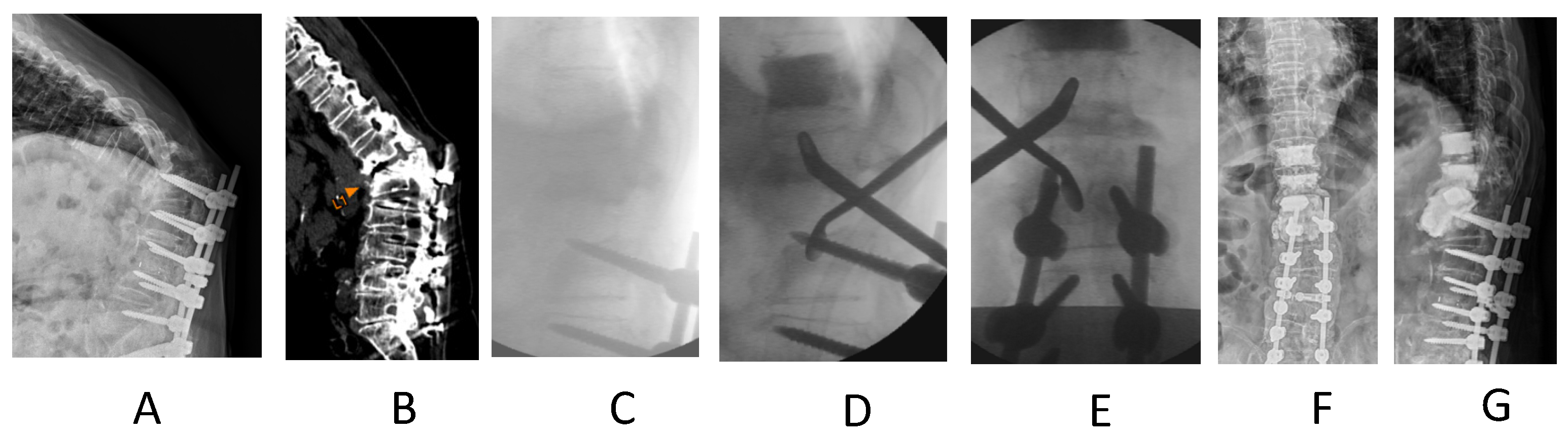 Biomed 04 00011 g009