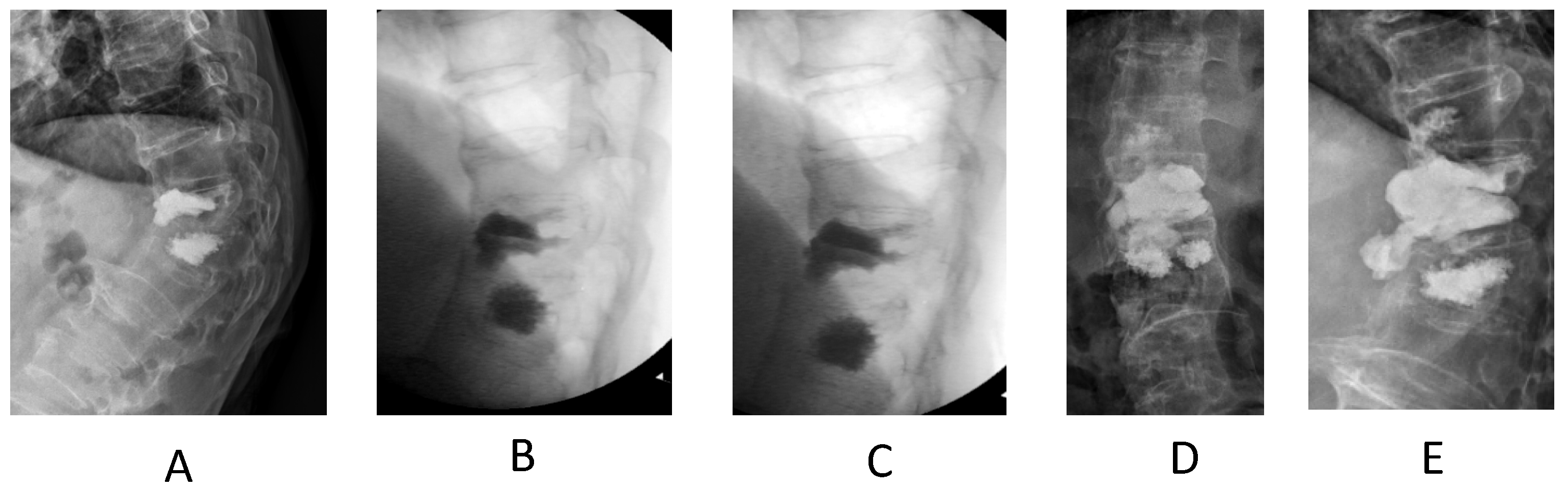 Biomed 04 00011 g010
