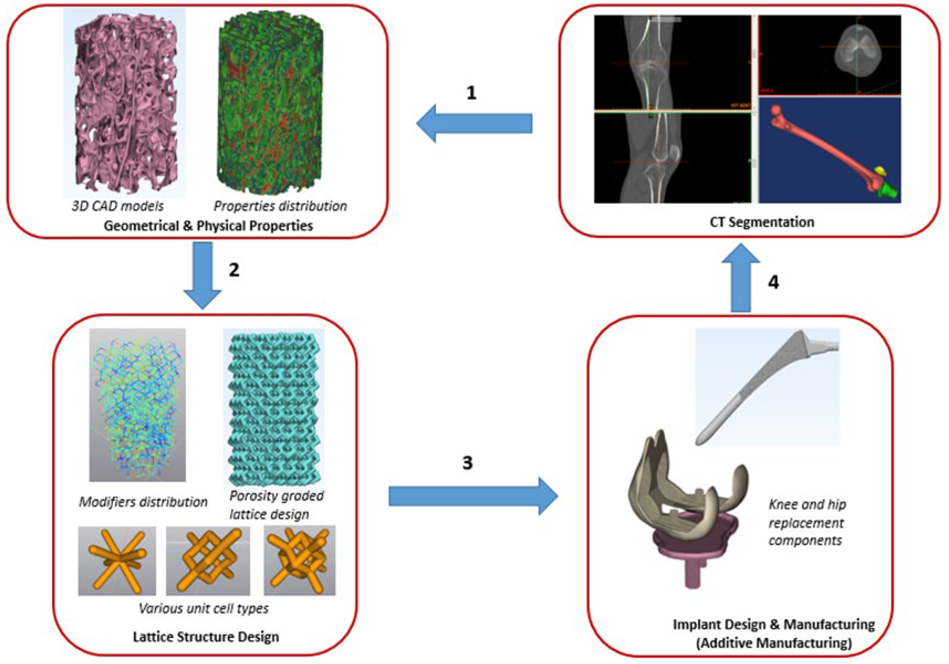 Biomed 04 00014 g001