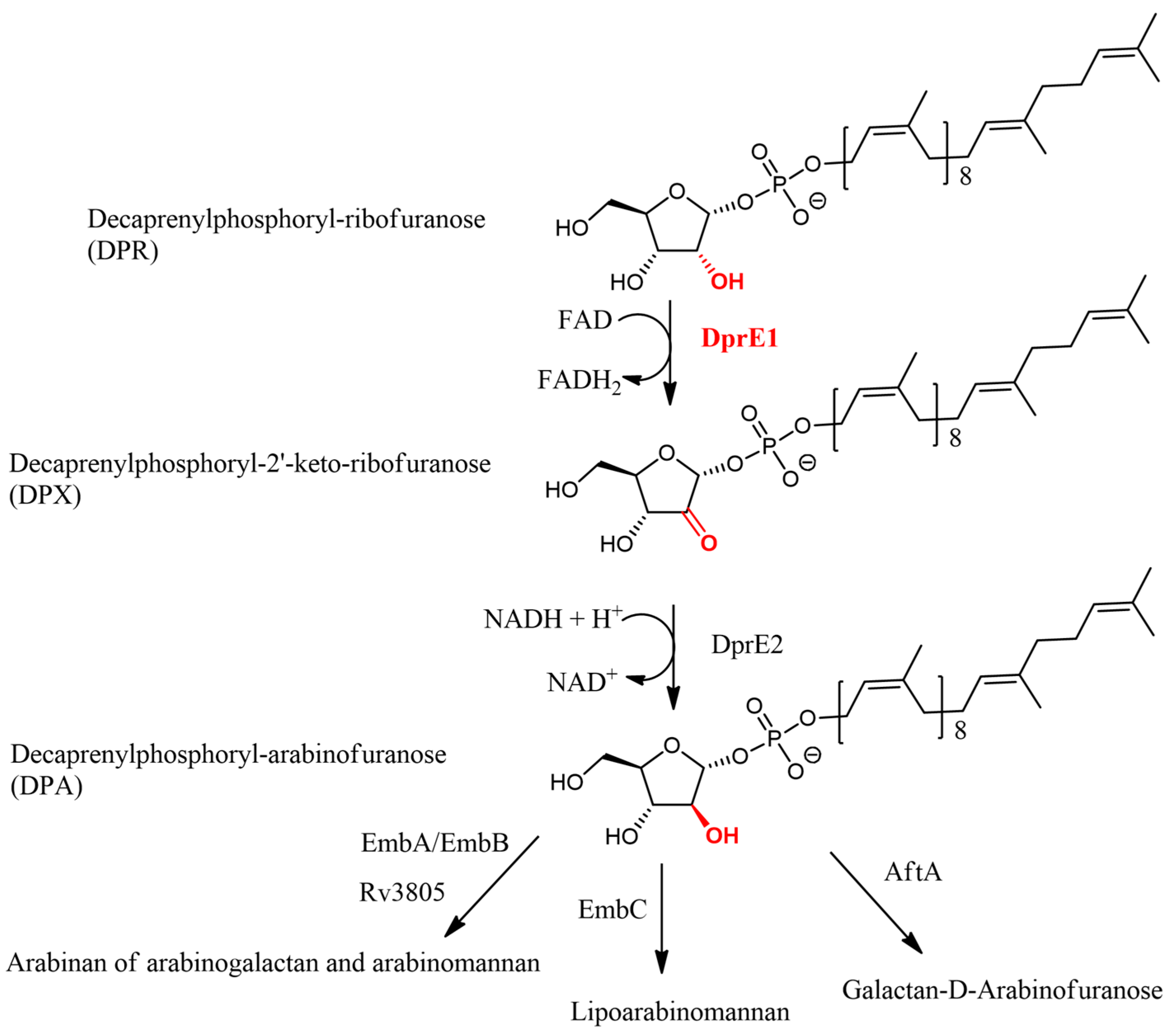 Biomed 04 00018 g001