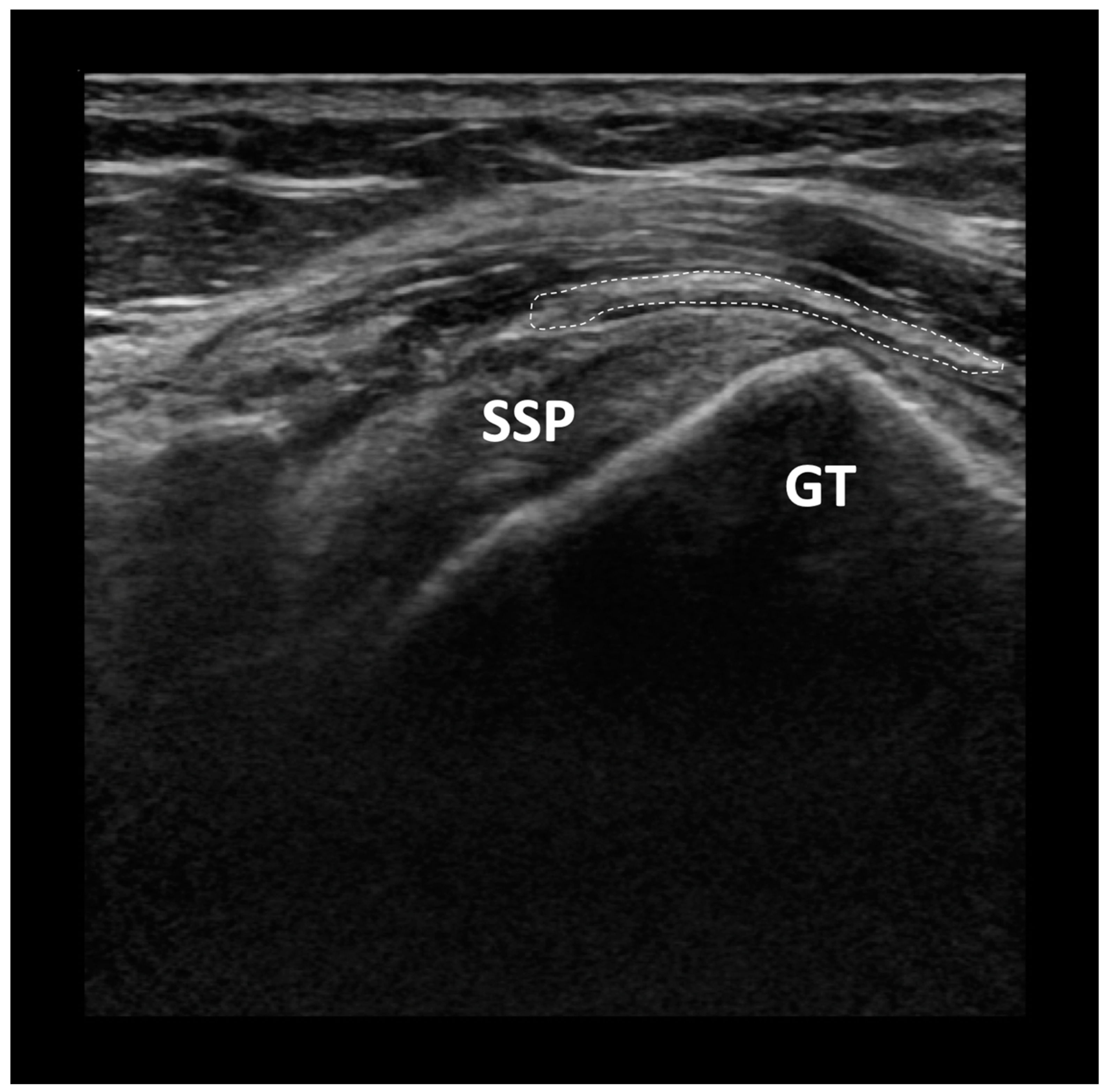Biomed 04 00020 g002