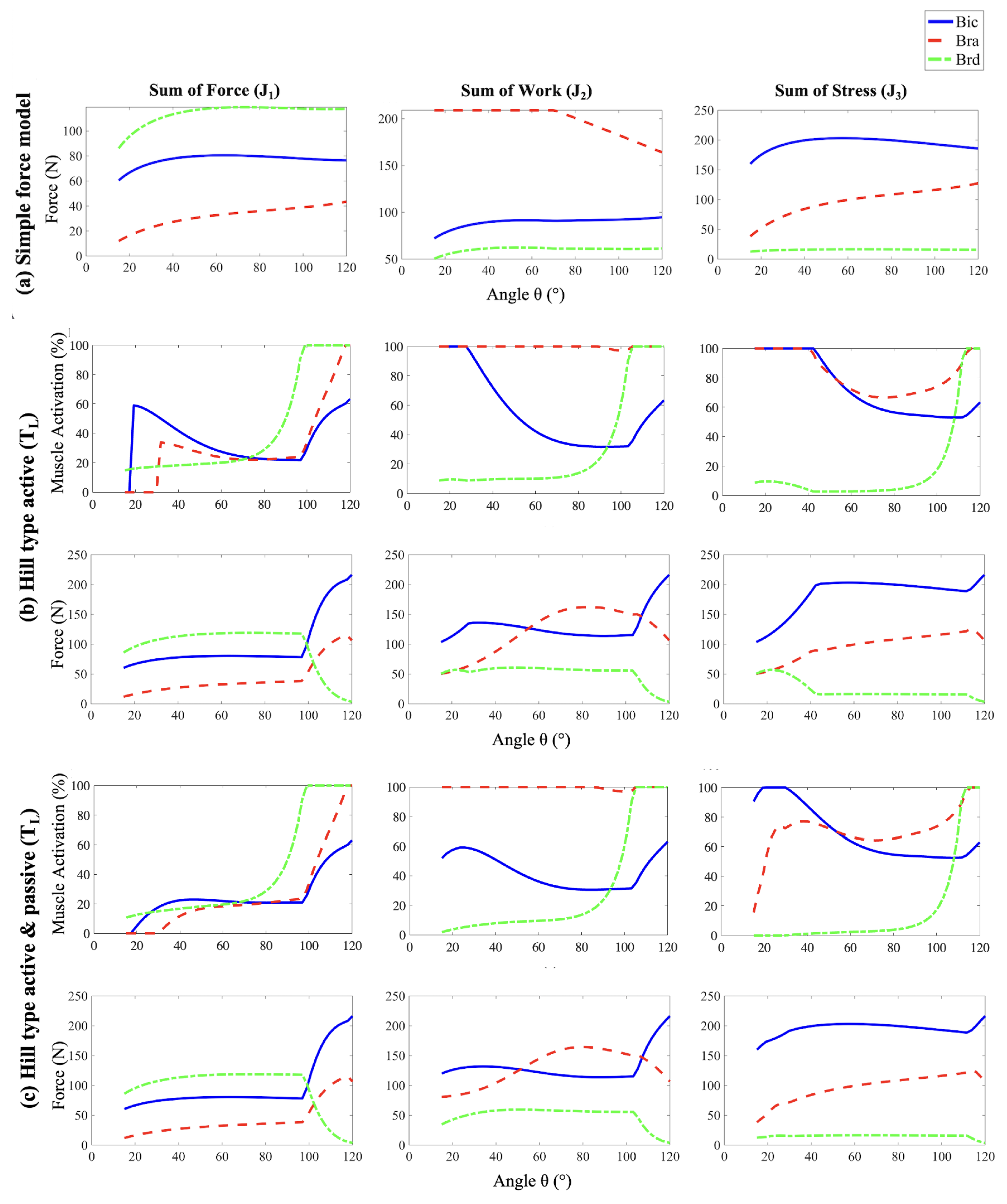 Biomed 04 00028 g003