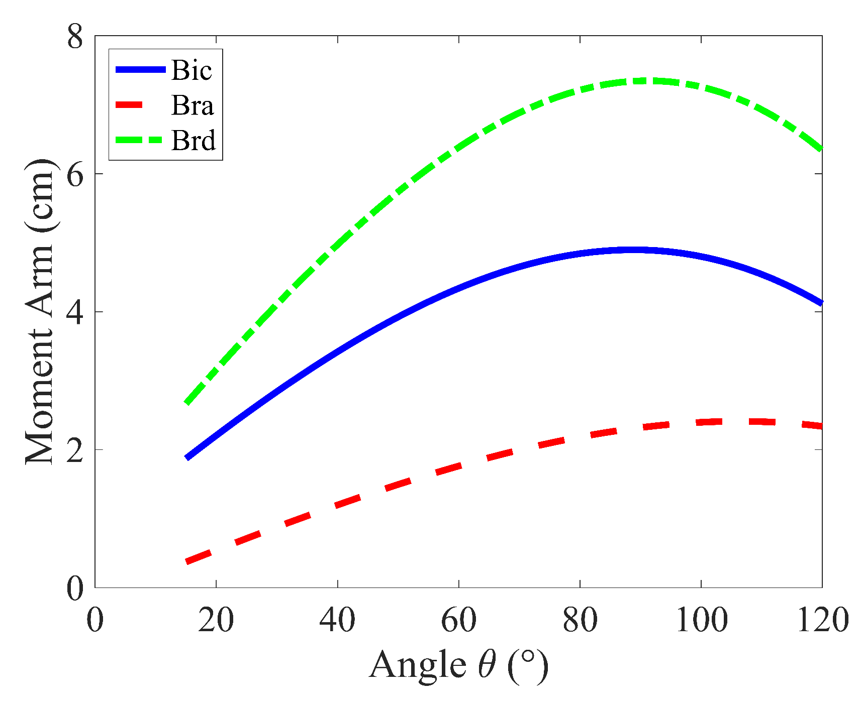 Biomed 04 00028 g004