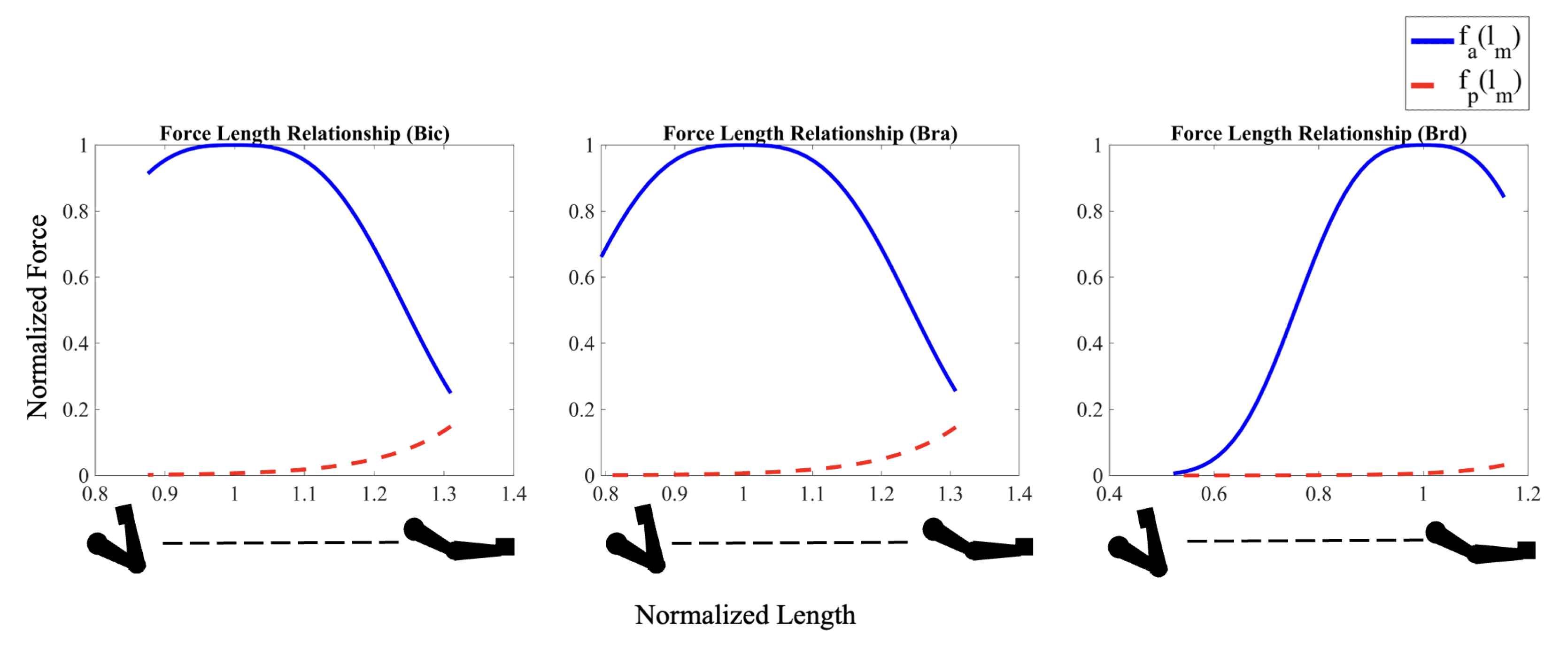 Biomed 04 00028 g006