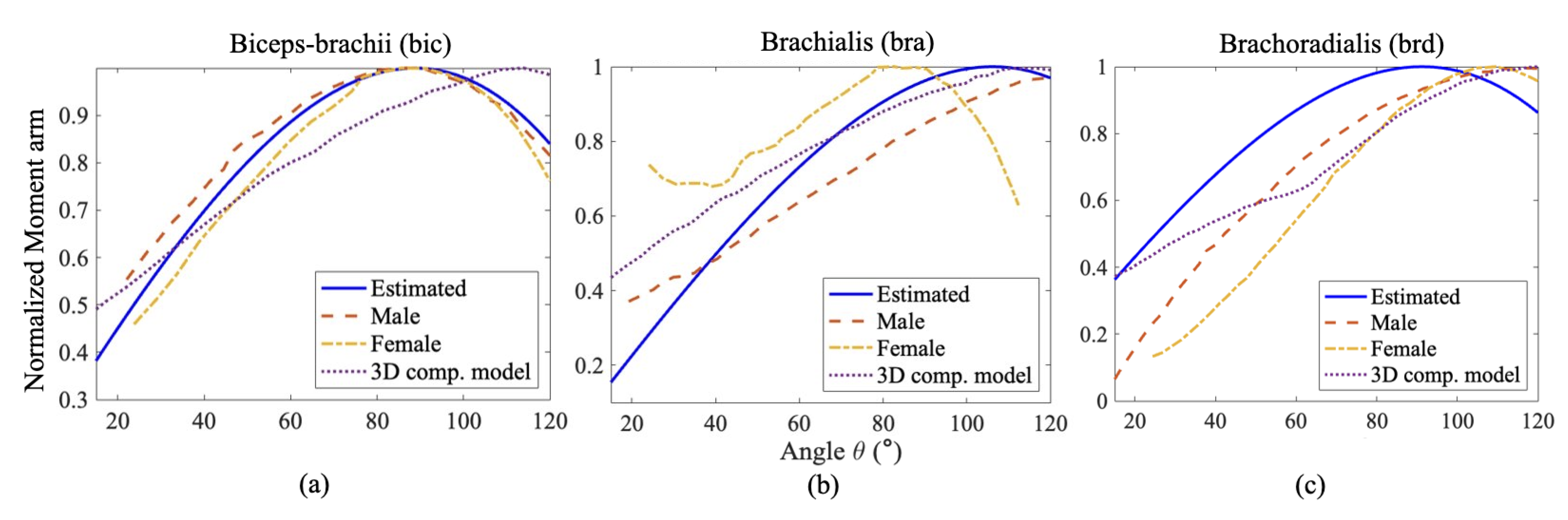 Biomed 04 00028 g007