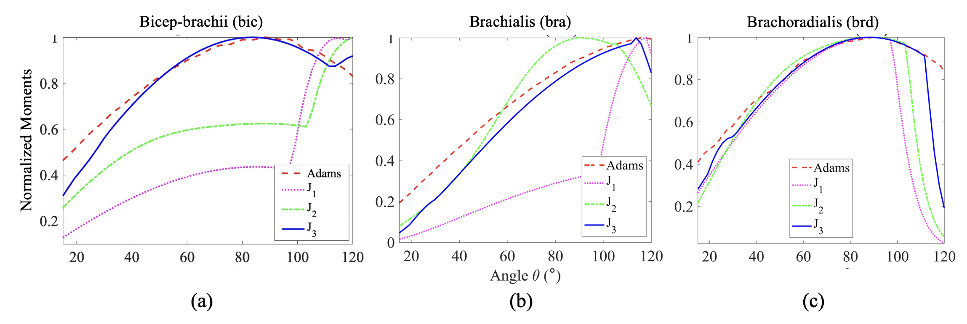 Biomed 04 00028 g008
