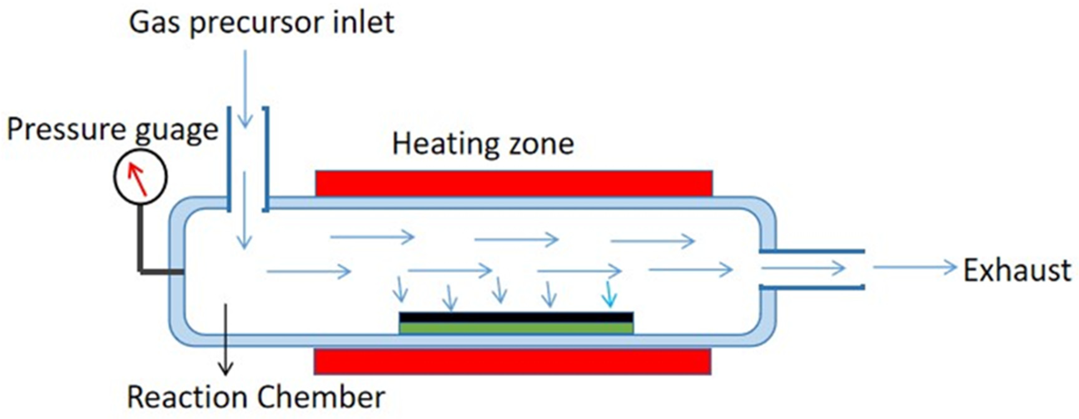 Biomed 04 00036 g003
