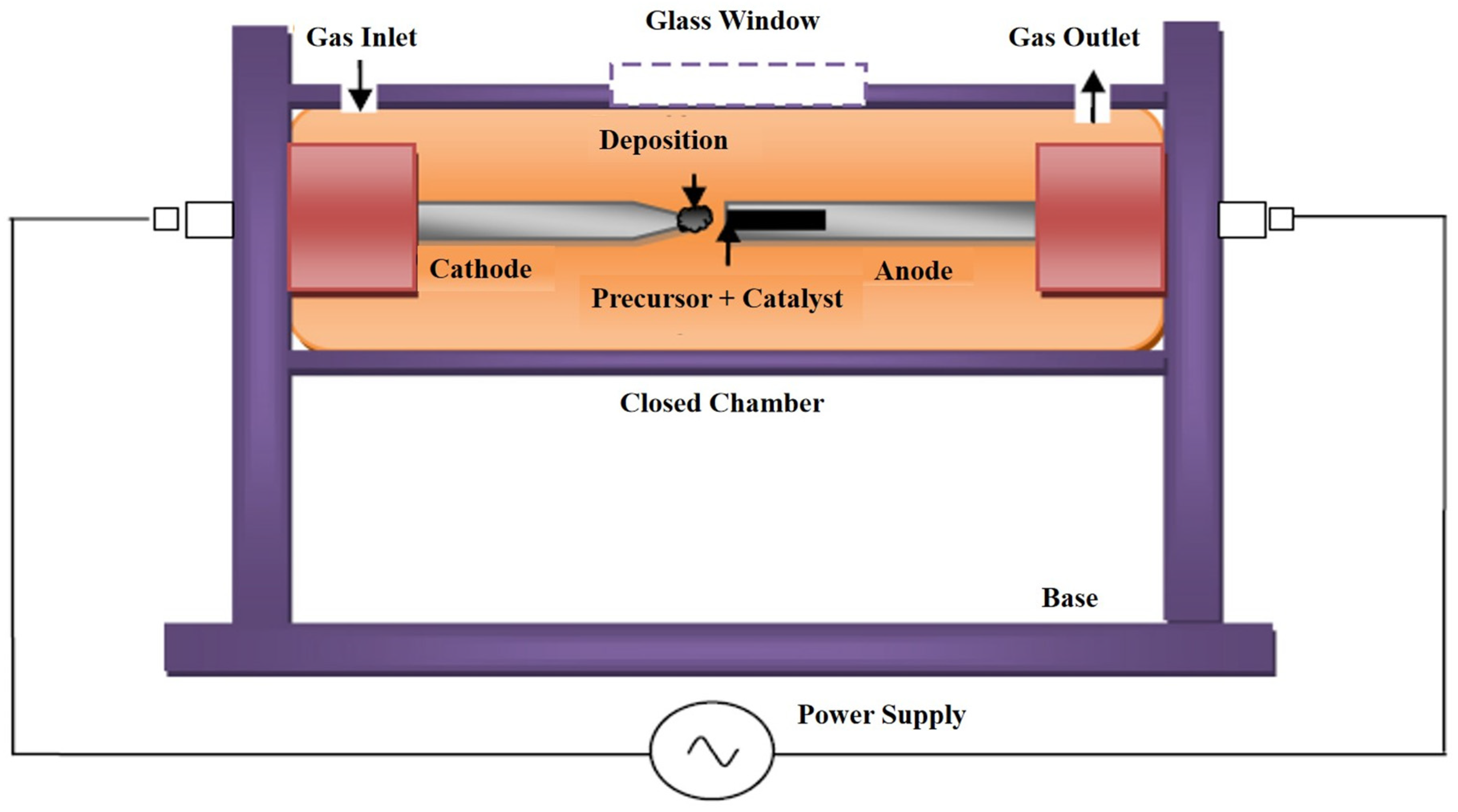 Biomed 04 00036 g006