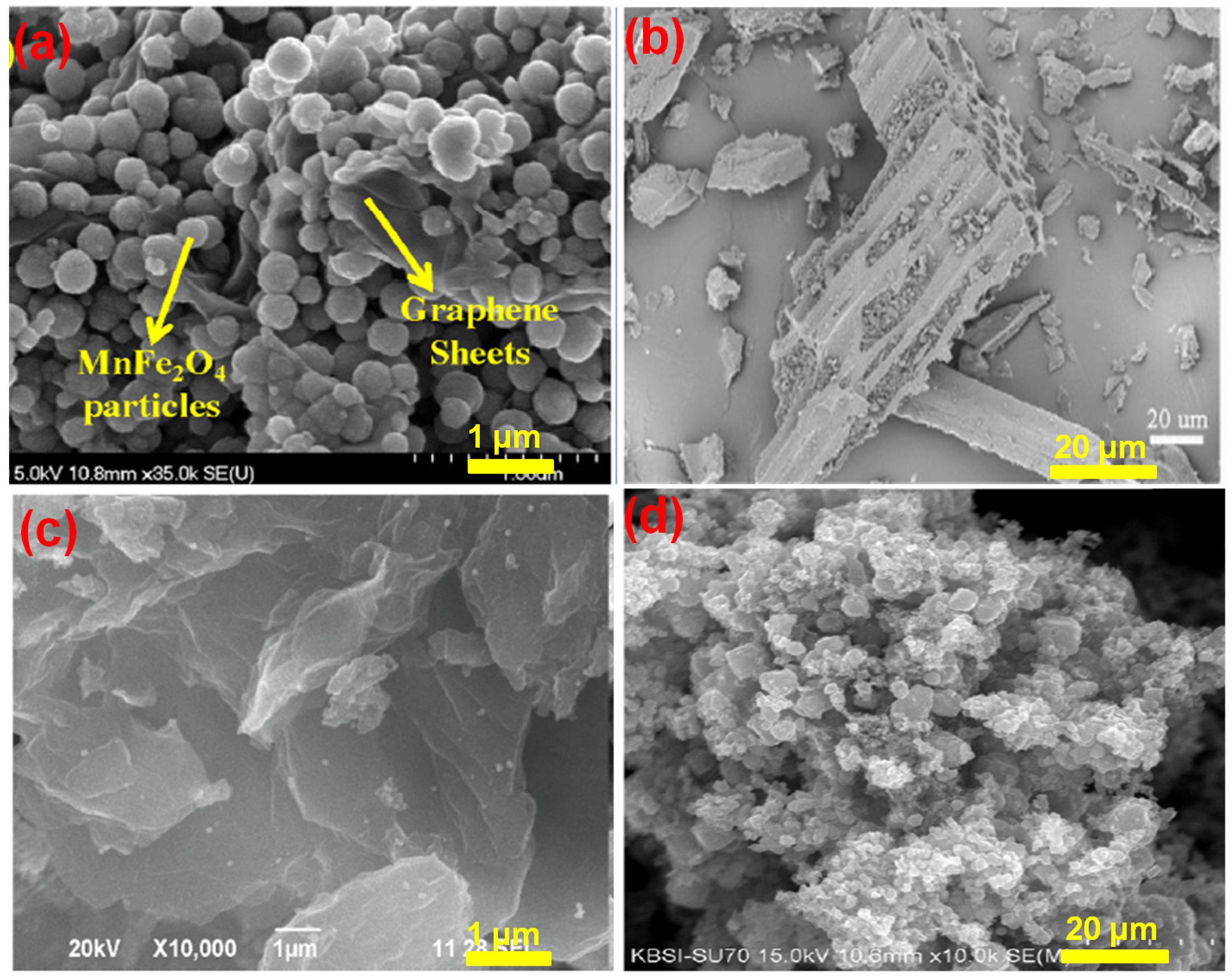 Biomed 04 00036 g012