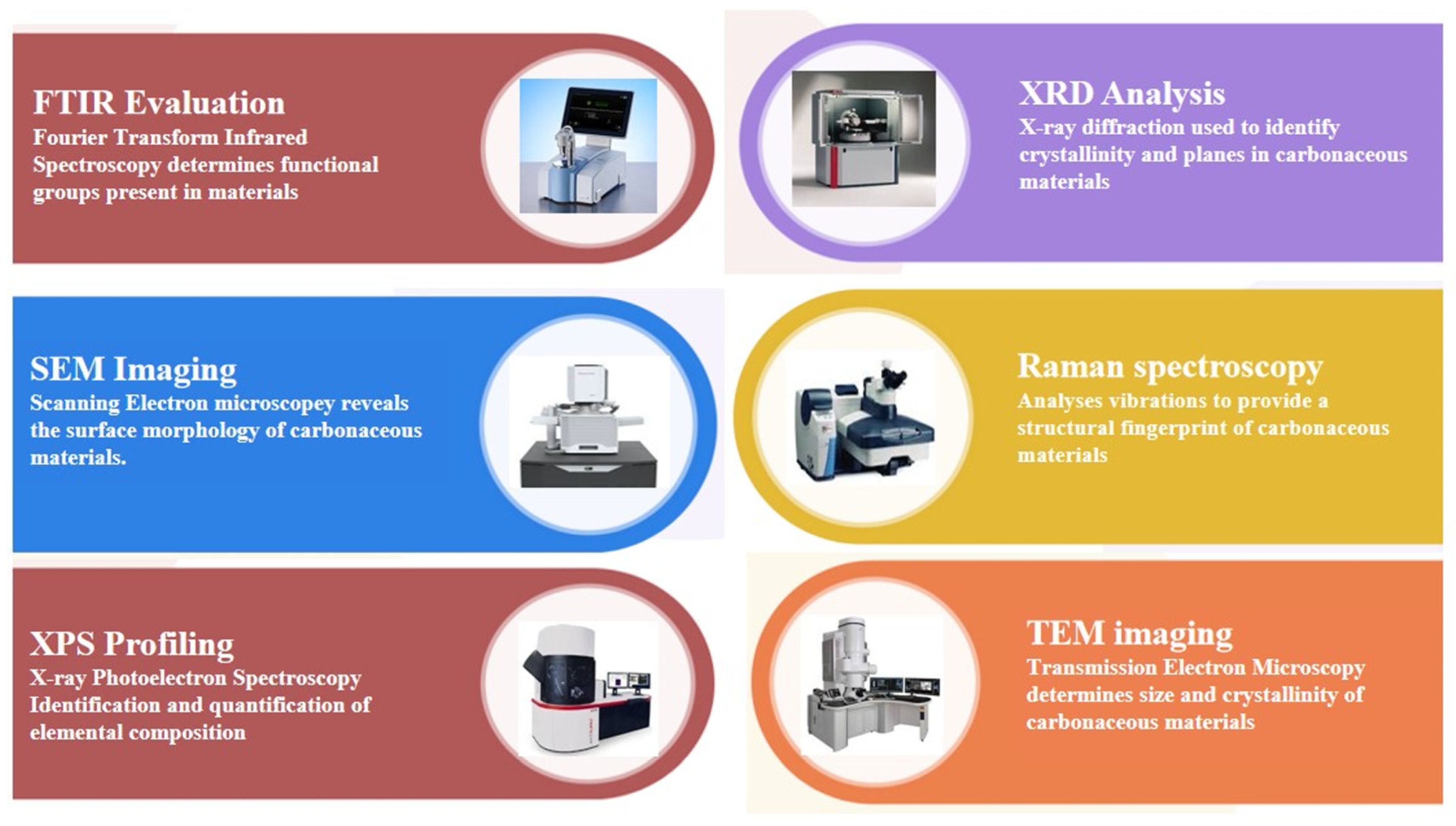 Biomed 04 00036 g013
