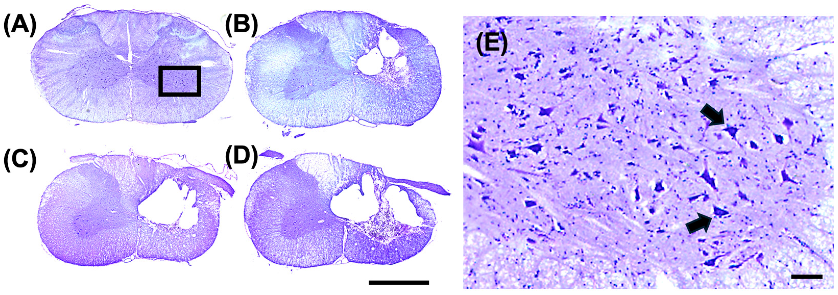 Biomed 04 00039 g008