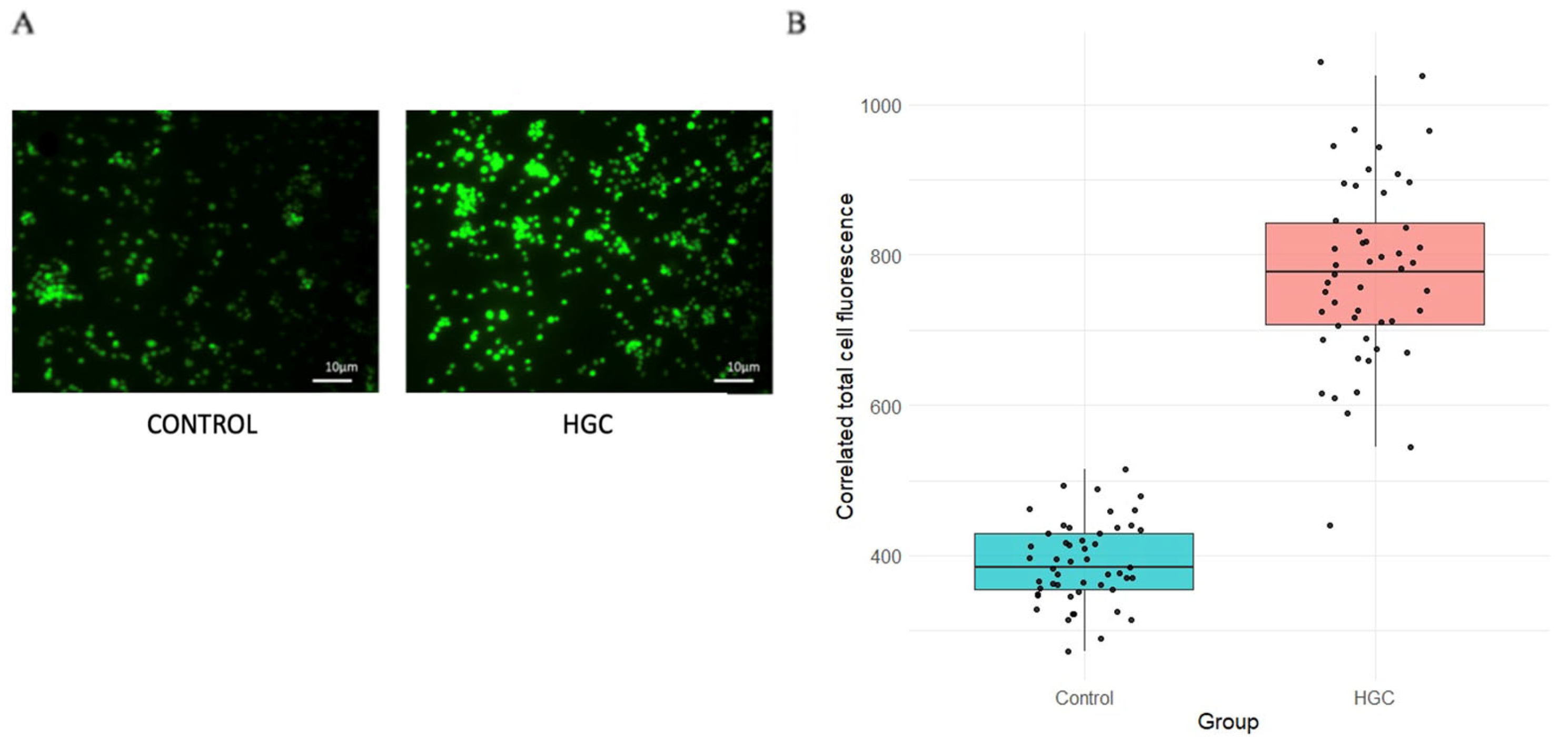 Biomed 05 00003 g005 Biomed 05 00003 g005