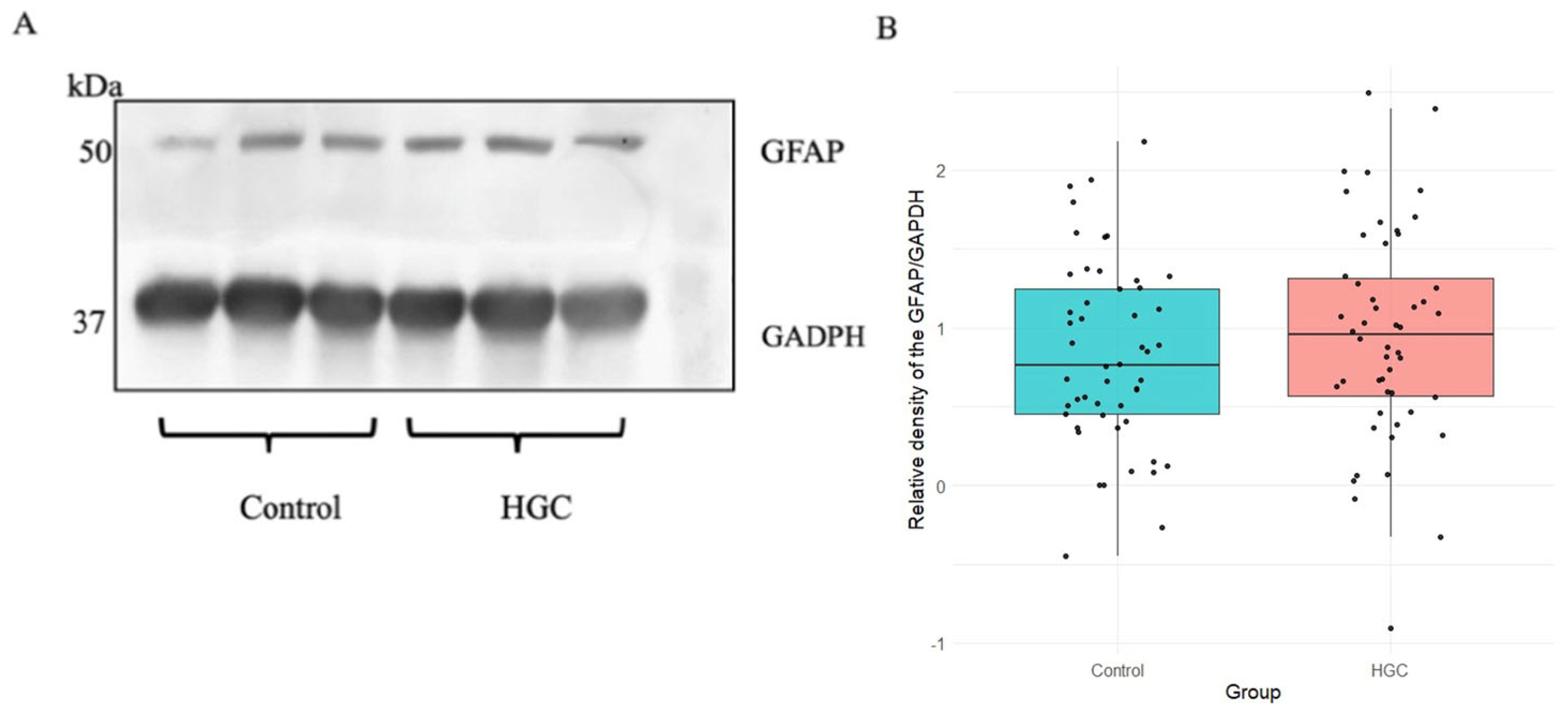 Biomed 05 00003 g006 Biomed 05 00003 g006
